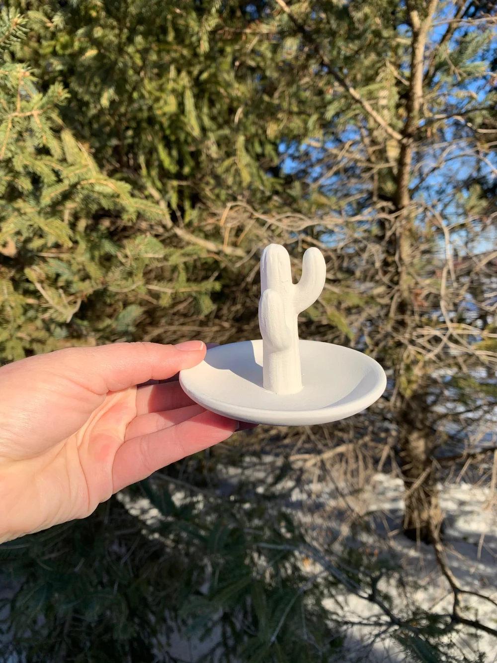 Cactus Ring Holder — Jessica's Paint Your Own Pottery To-Go