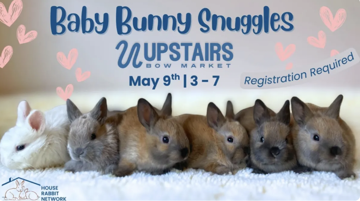 Bunny Snuggles x Upstairs at Bow