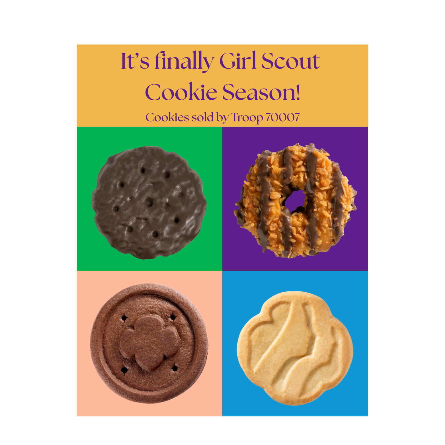 Support the local Girl Scouts