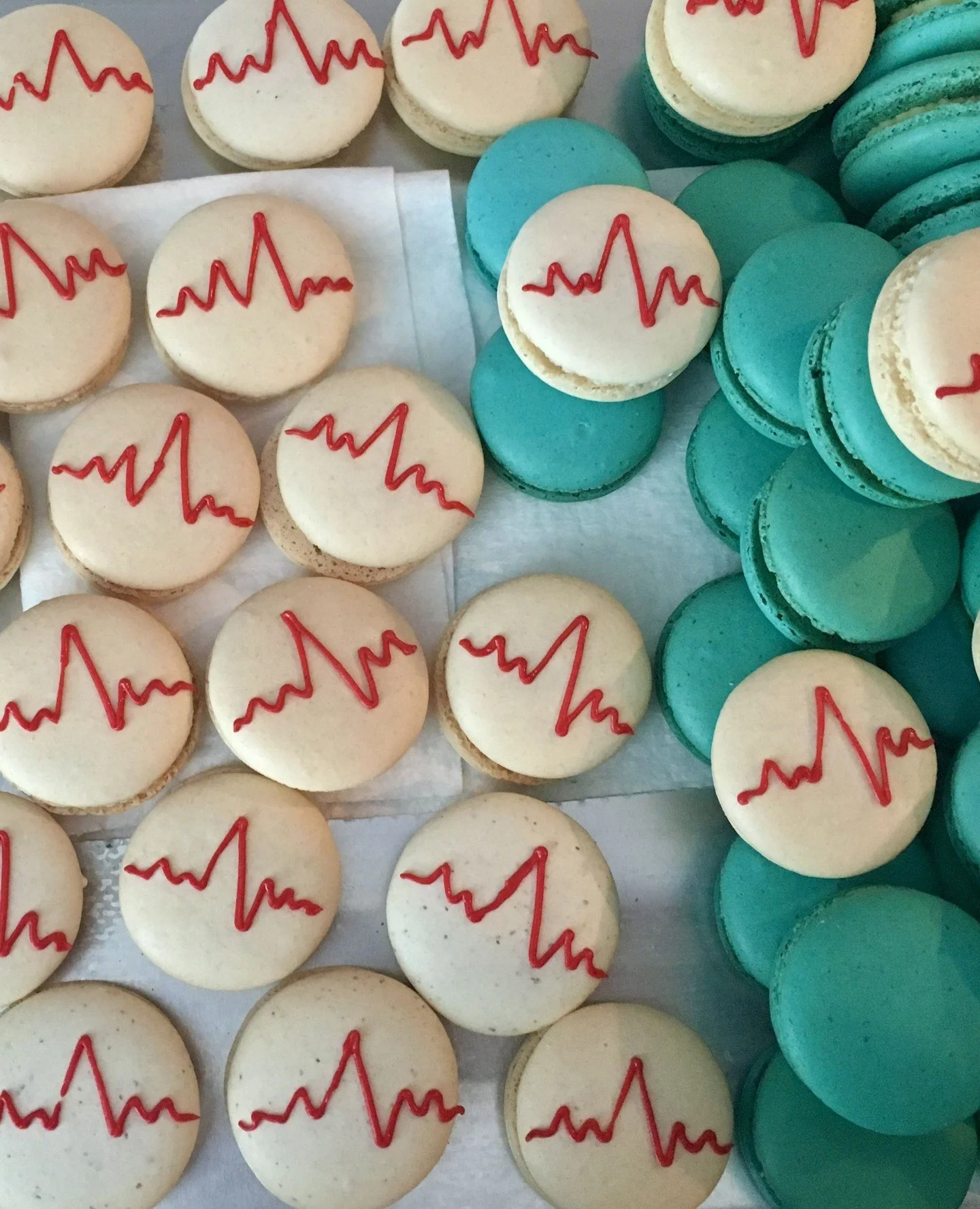 &hearts;️🩸Blood Donation on Jan 30th at Bow Market in honor of Tamy🩸&hearts;️⁠
⁠
Join us in @upstairs.at.bow on Friday, January 30th for Bow Market's Blood Drive in honor of our girl Tamy of @macaboston. Giving blood is truly life saving and has be