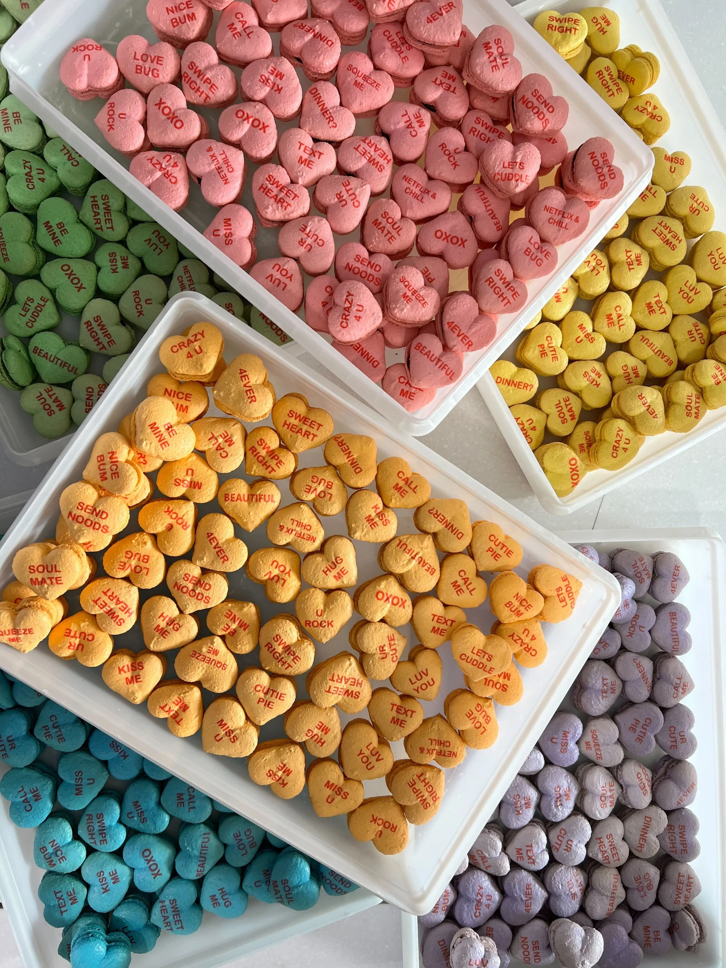 IMG_6839 (1) (1).jpg