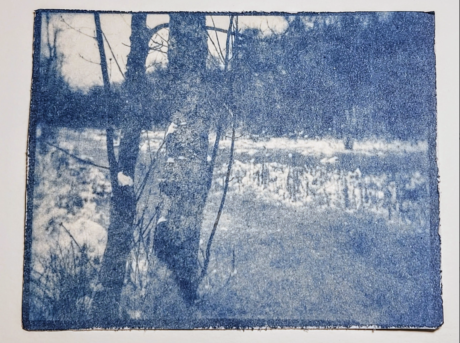 Cyanotype Printing Workshop Workshop w/ Zeloof Designworks  