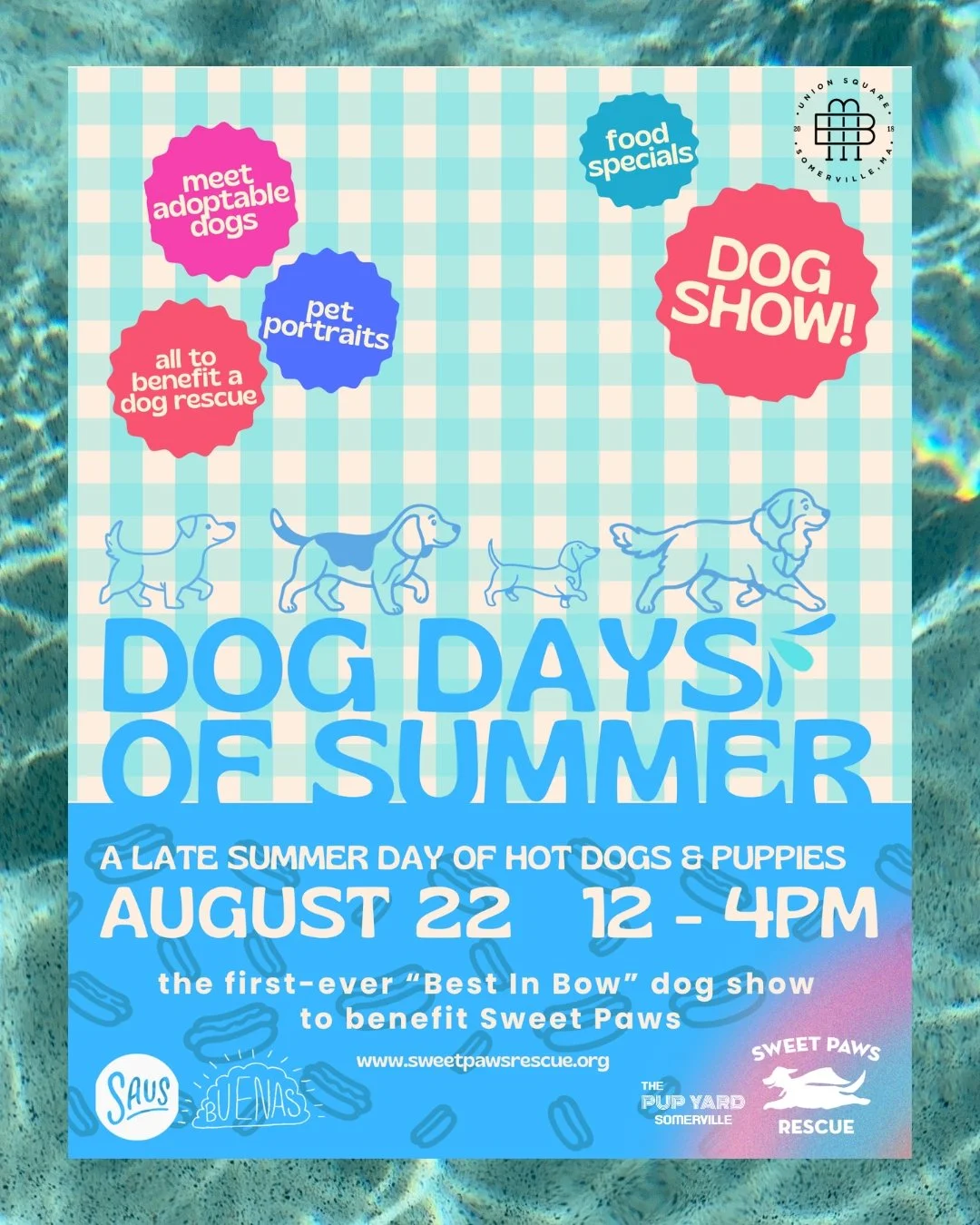 August at Bow 🌻🐶🌞