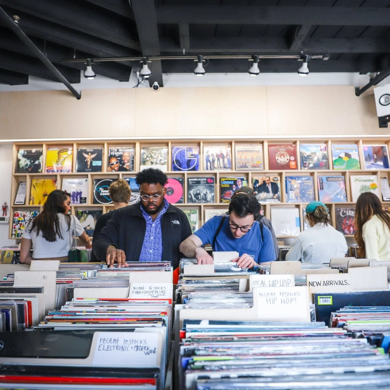 Vinyl Index