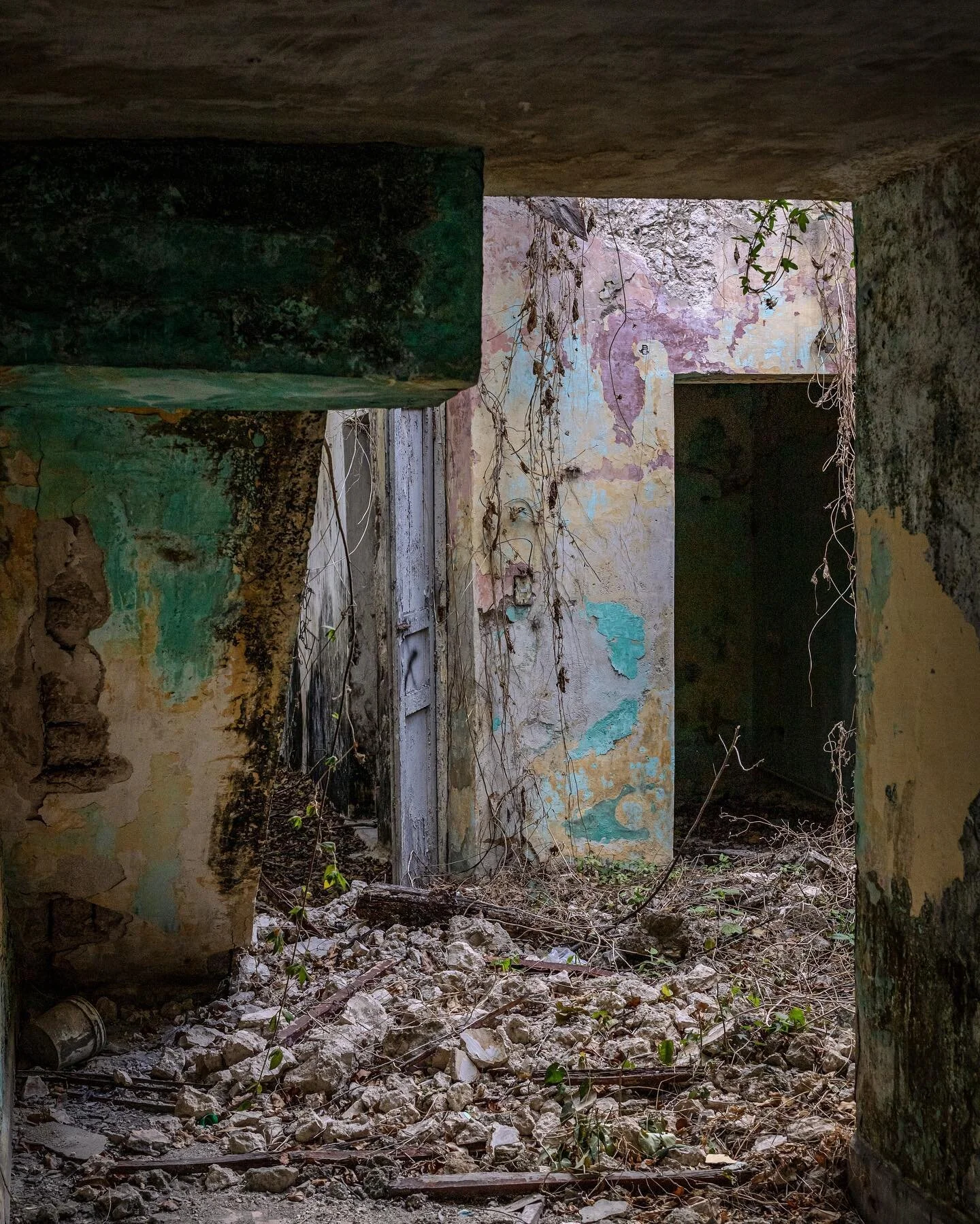 El Barrio o Exterior Salvaje es un espacio con identidad propia, inmerso en el contexto urbano de cualquier ciudad o pueblo. Un territorio fértil para la curiosidad de quien decide explorarlo.
📷 🗺️🧳
The Barrio or Exterior Salvaje is a space