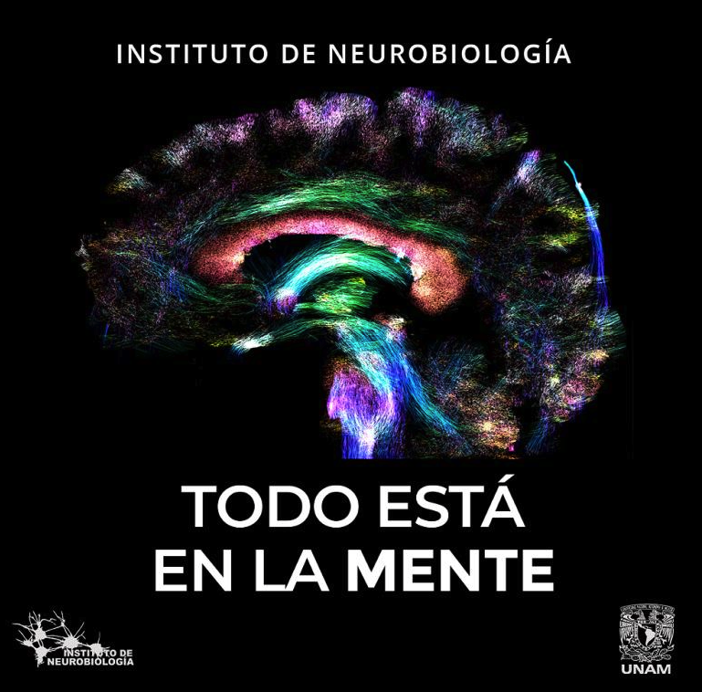 publicidad-inb-03.png