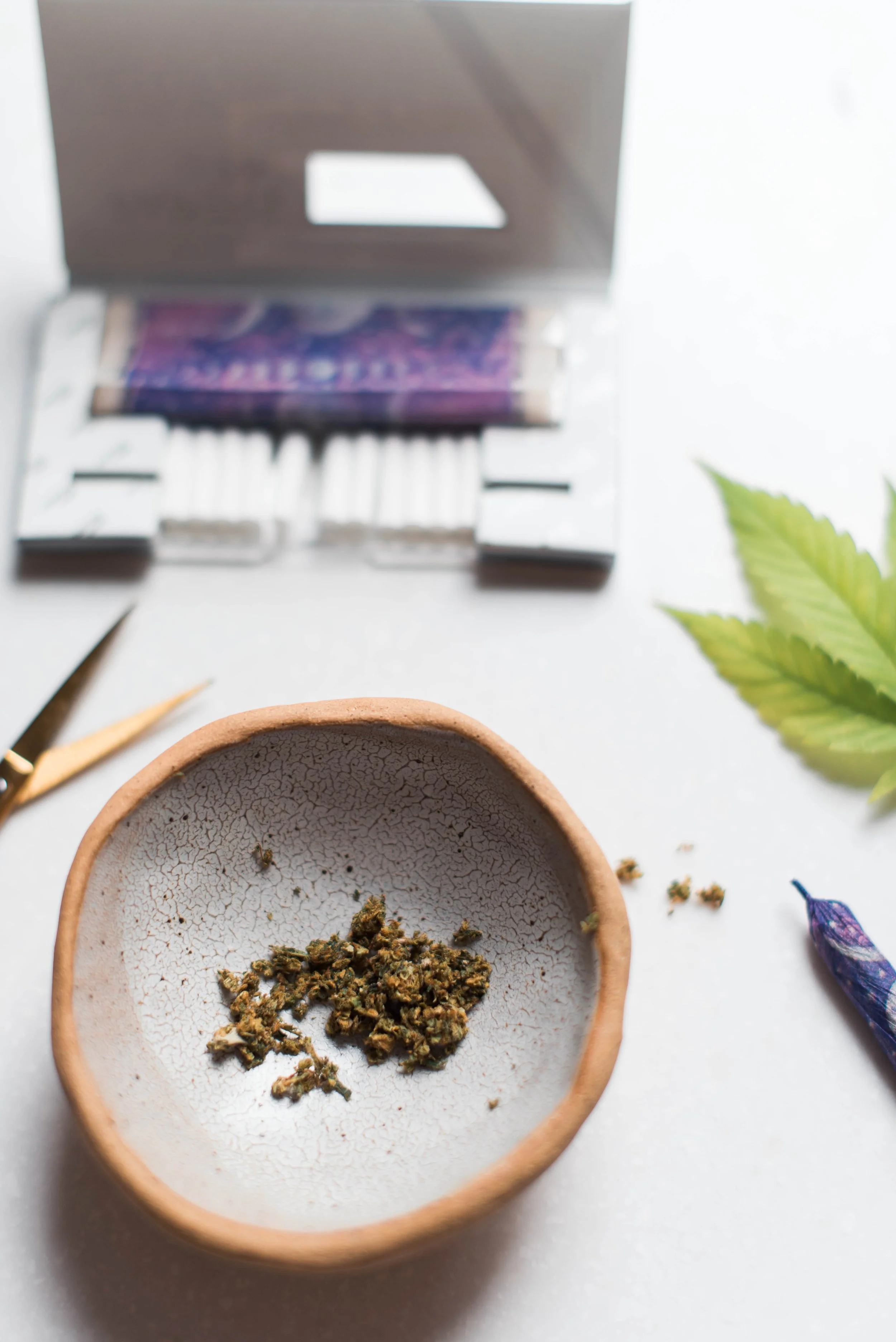 Ceramic dish with dried cannabis buds, rolling papers, and scissors — an elevated sesh moment.