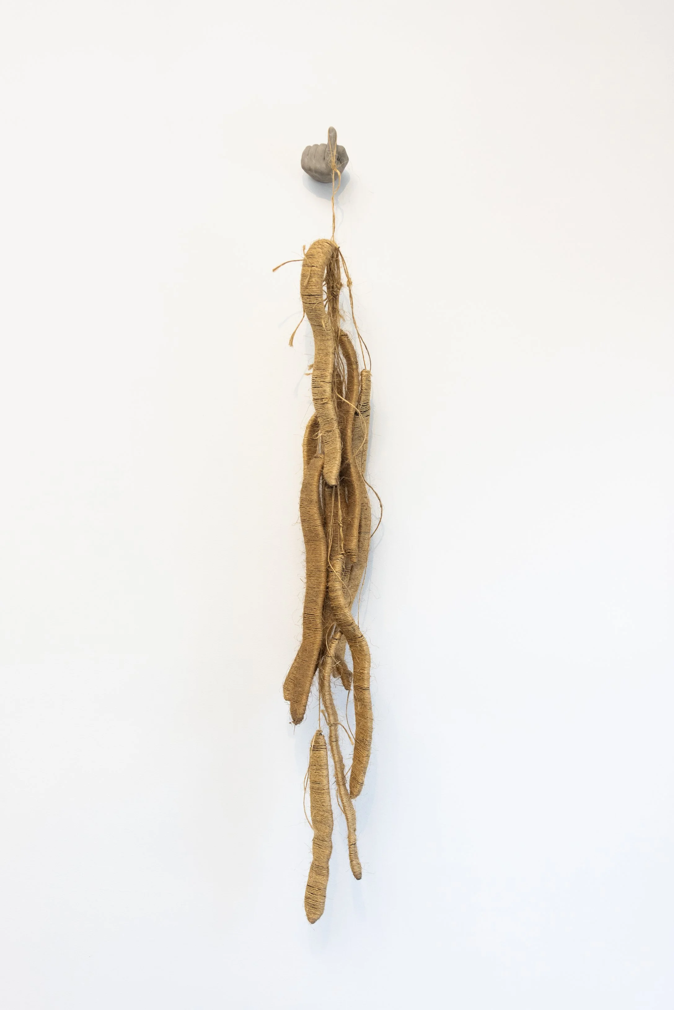 New Tendrils, 2025