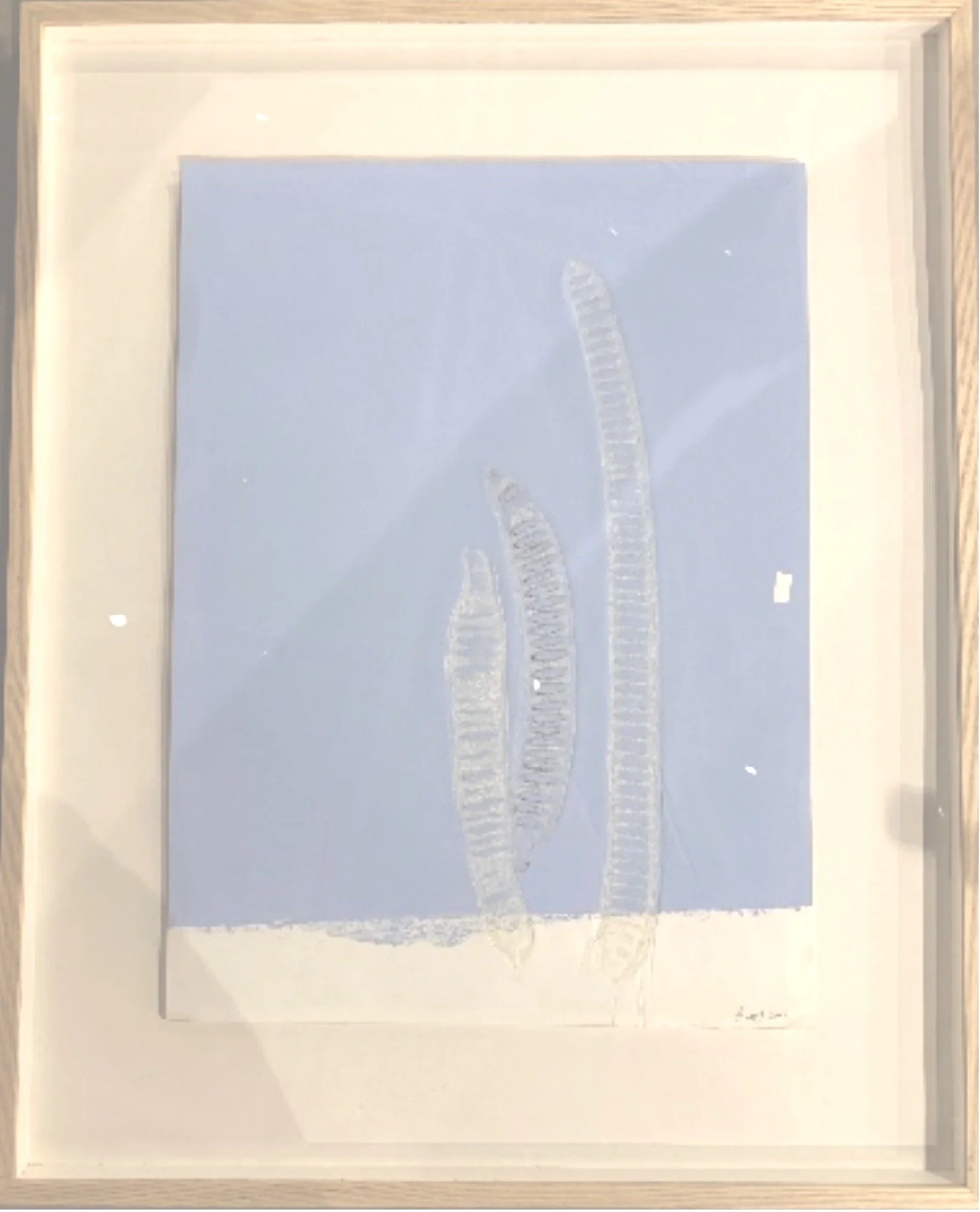 Kendra Frorup: Light Blue pod, 2018. Monotype on Paper. 41 x 33 in (104.1 x 83.8 cm). $6,600. Framed.