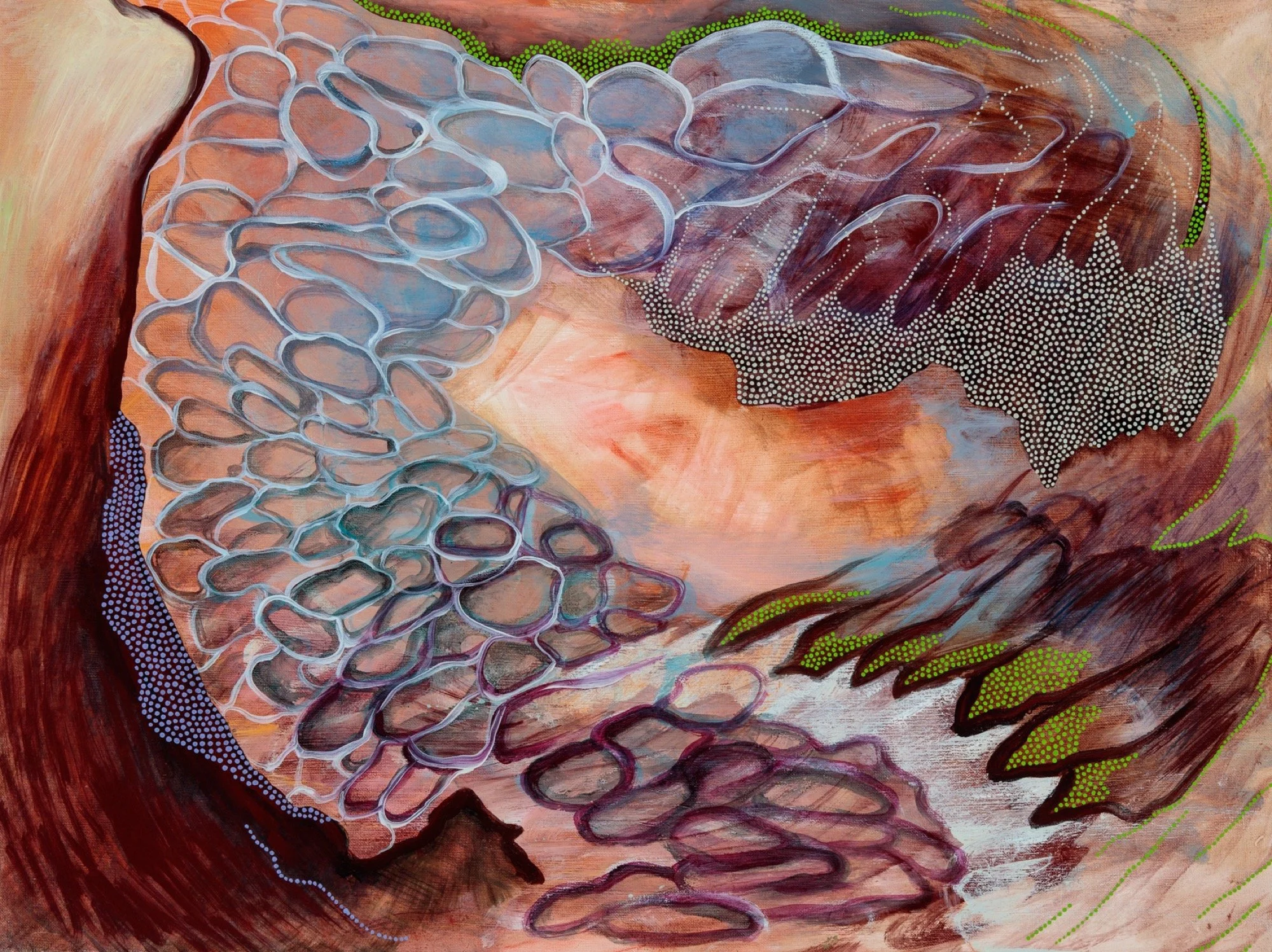 Speciation, 2019