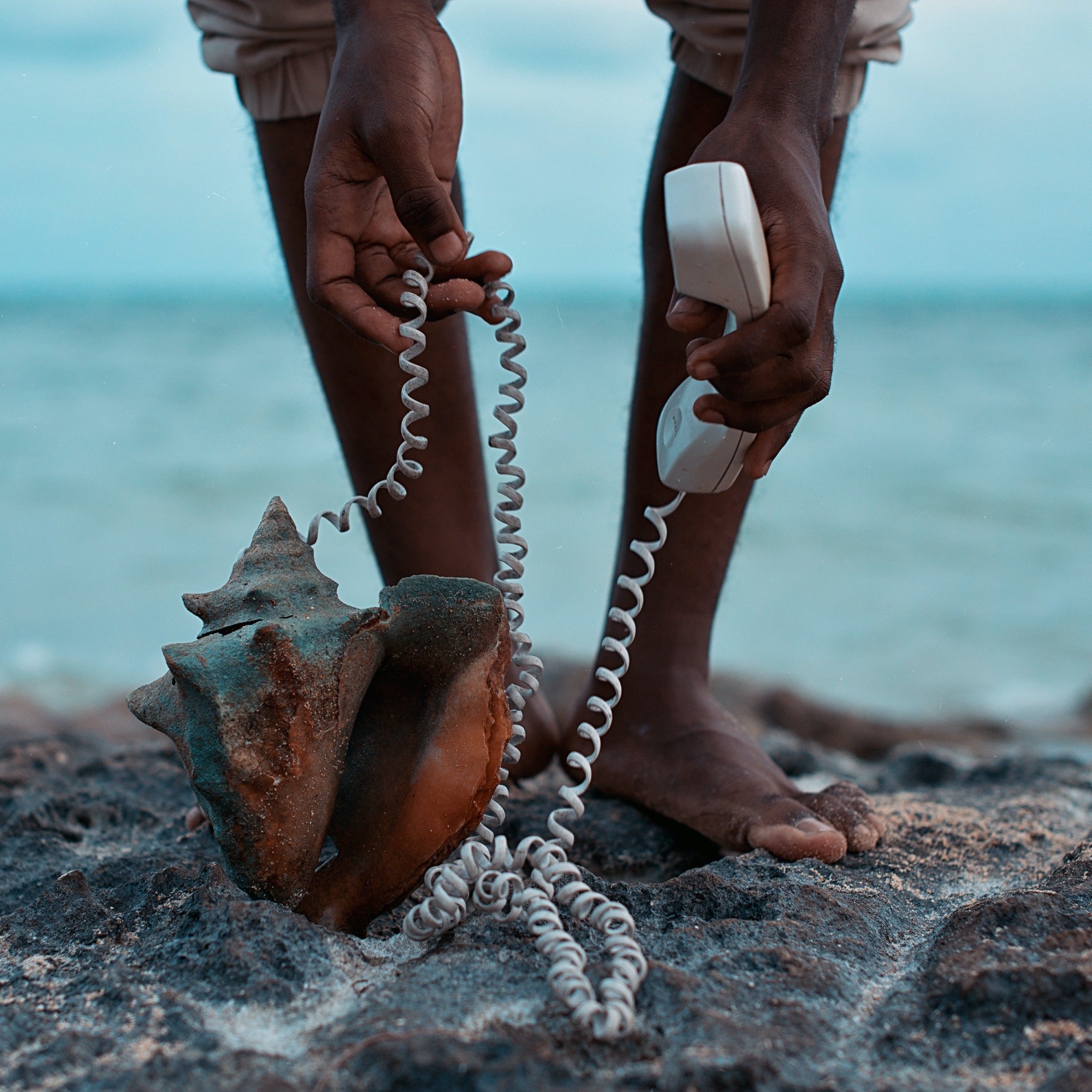 Sea Call, 2016