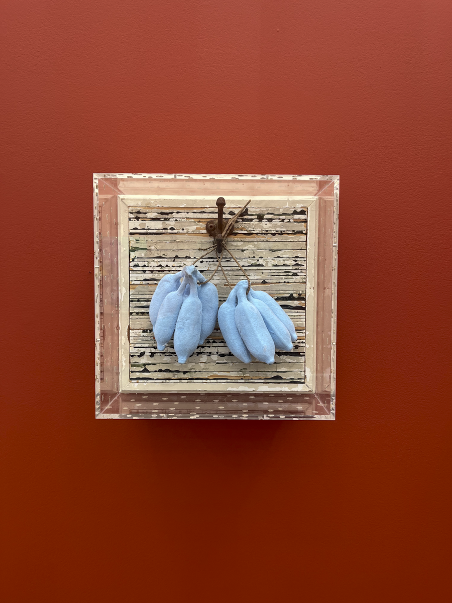 Five Finger Discount, 2023