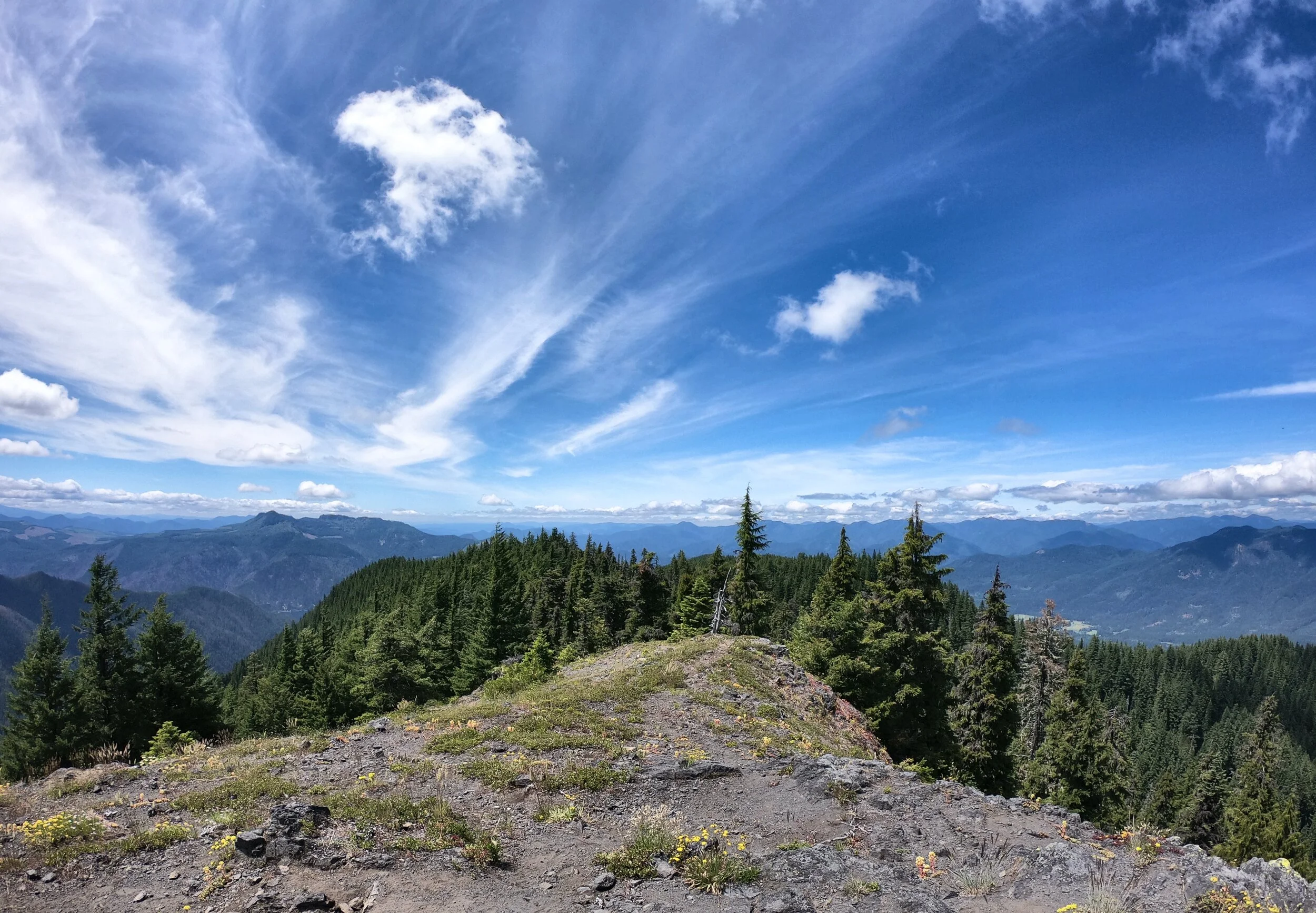 The State of the World: Google Search and the PS5