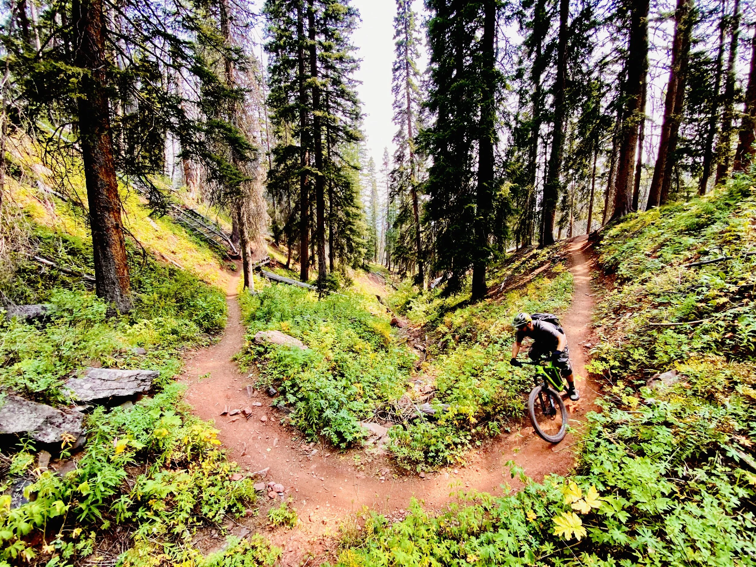 Another 2,000-Mile Year in the Books