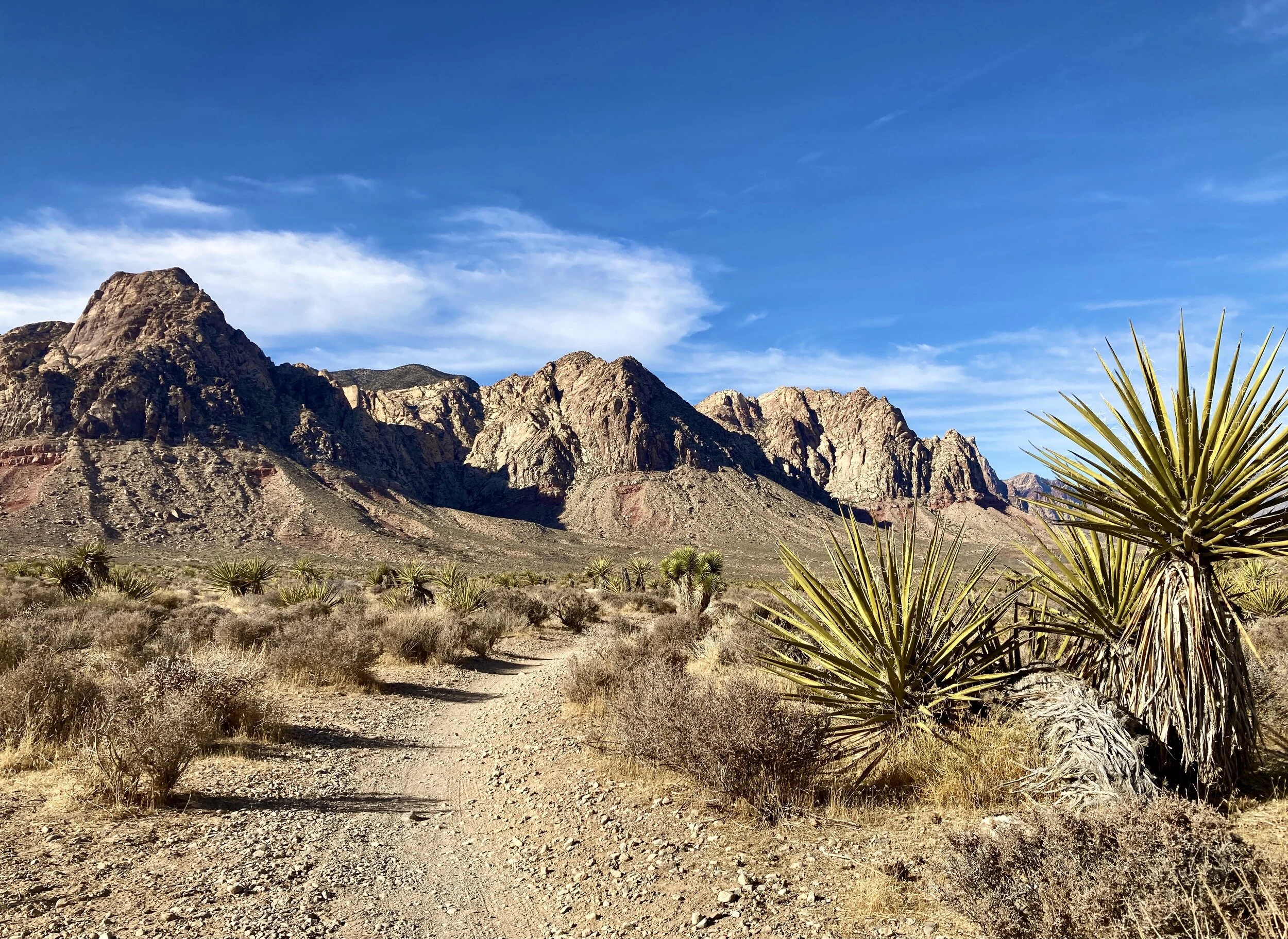 One Mile Per Day X 365: We Are Built to Move