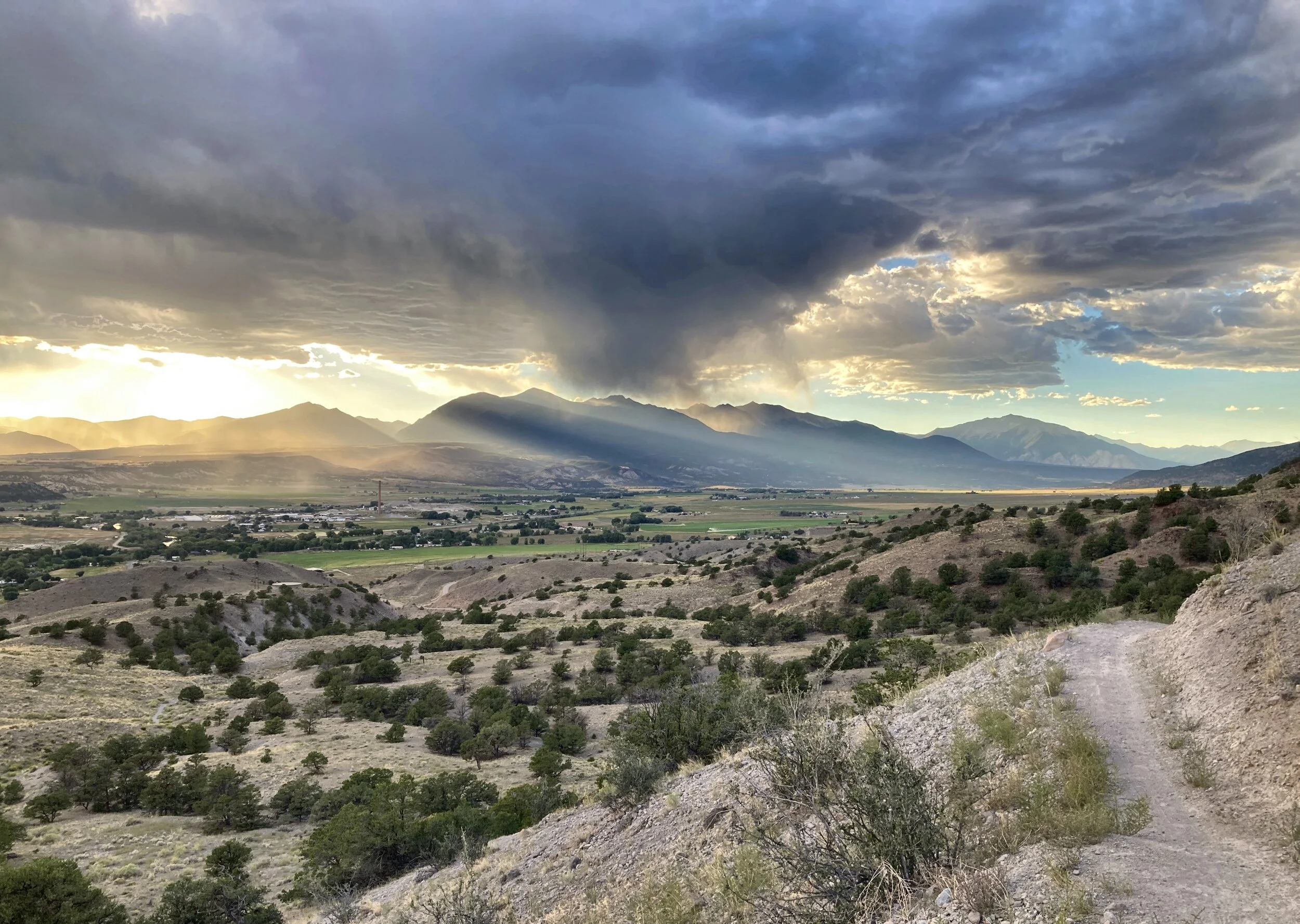 Walking Blind: Living Well While the World Spins Out of Control