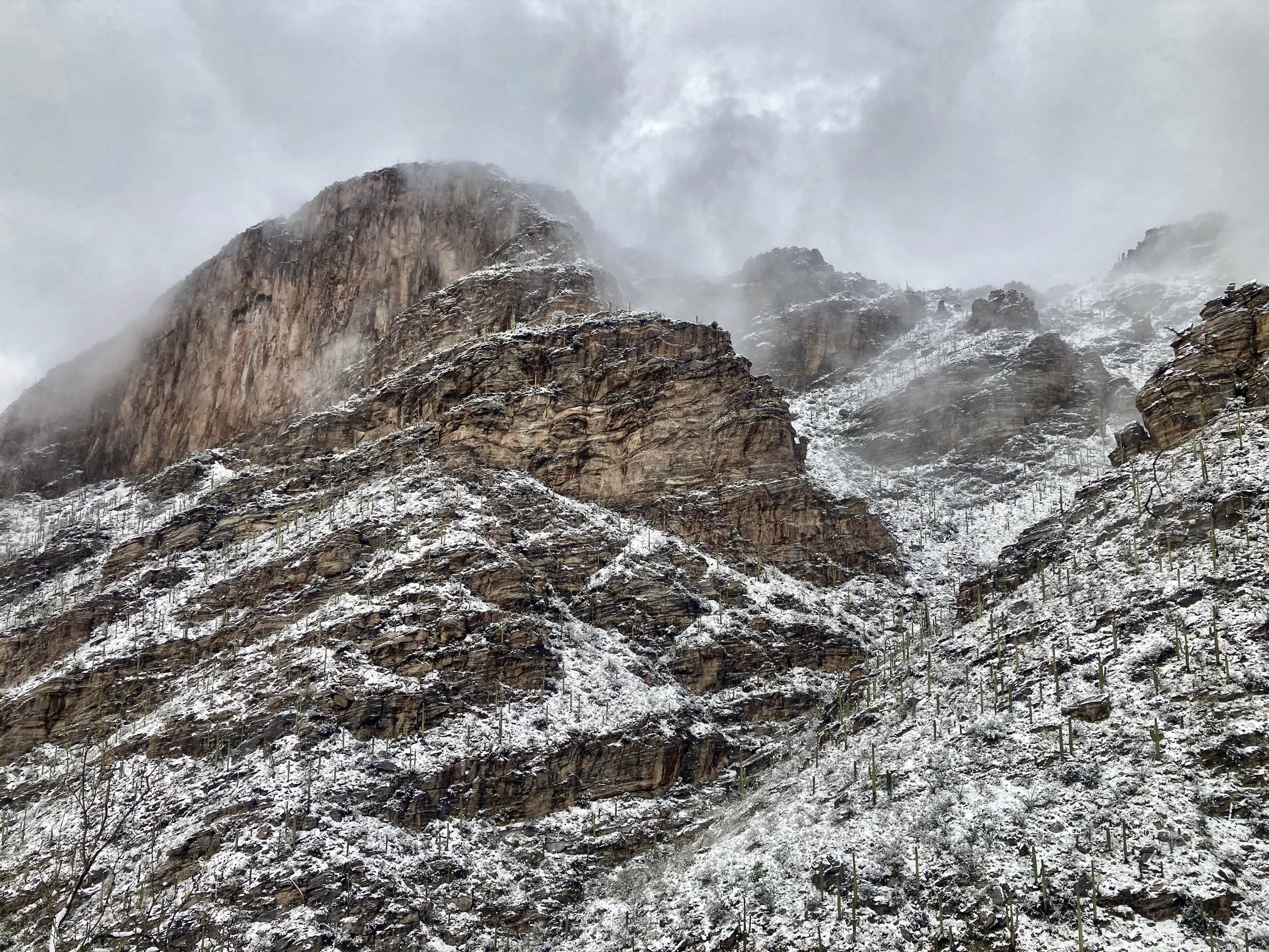 The Power of the Streak: 1,000 Days Down