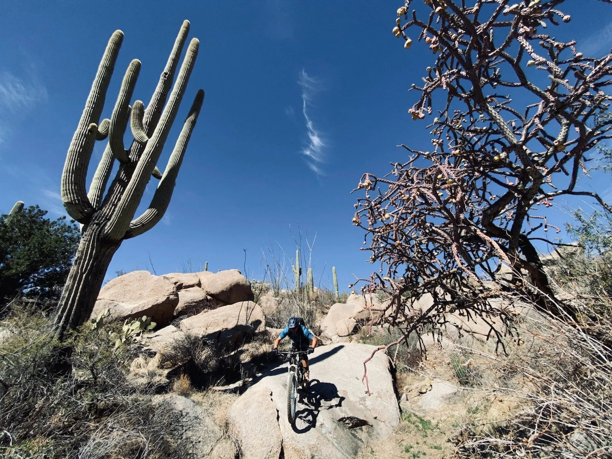 Total Immersion Snowbirding in Tucson, Arizona — Outside 365