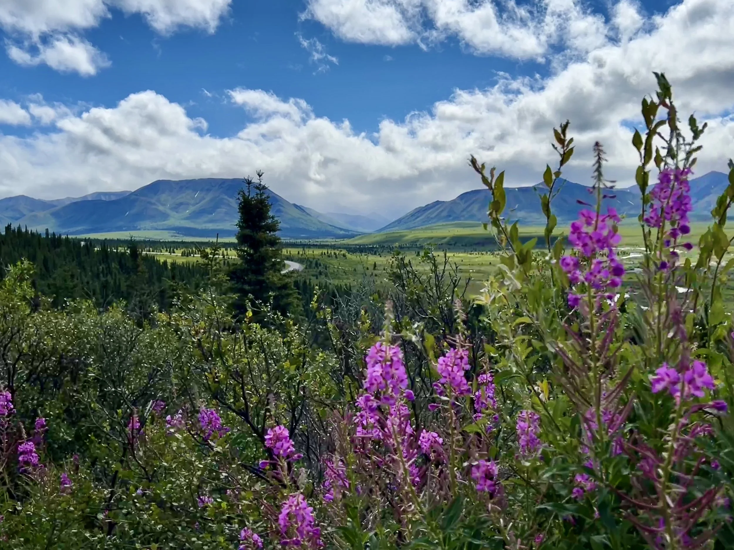 4 Years Later, the World Needs to Go Outside More than Ever Before