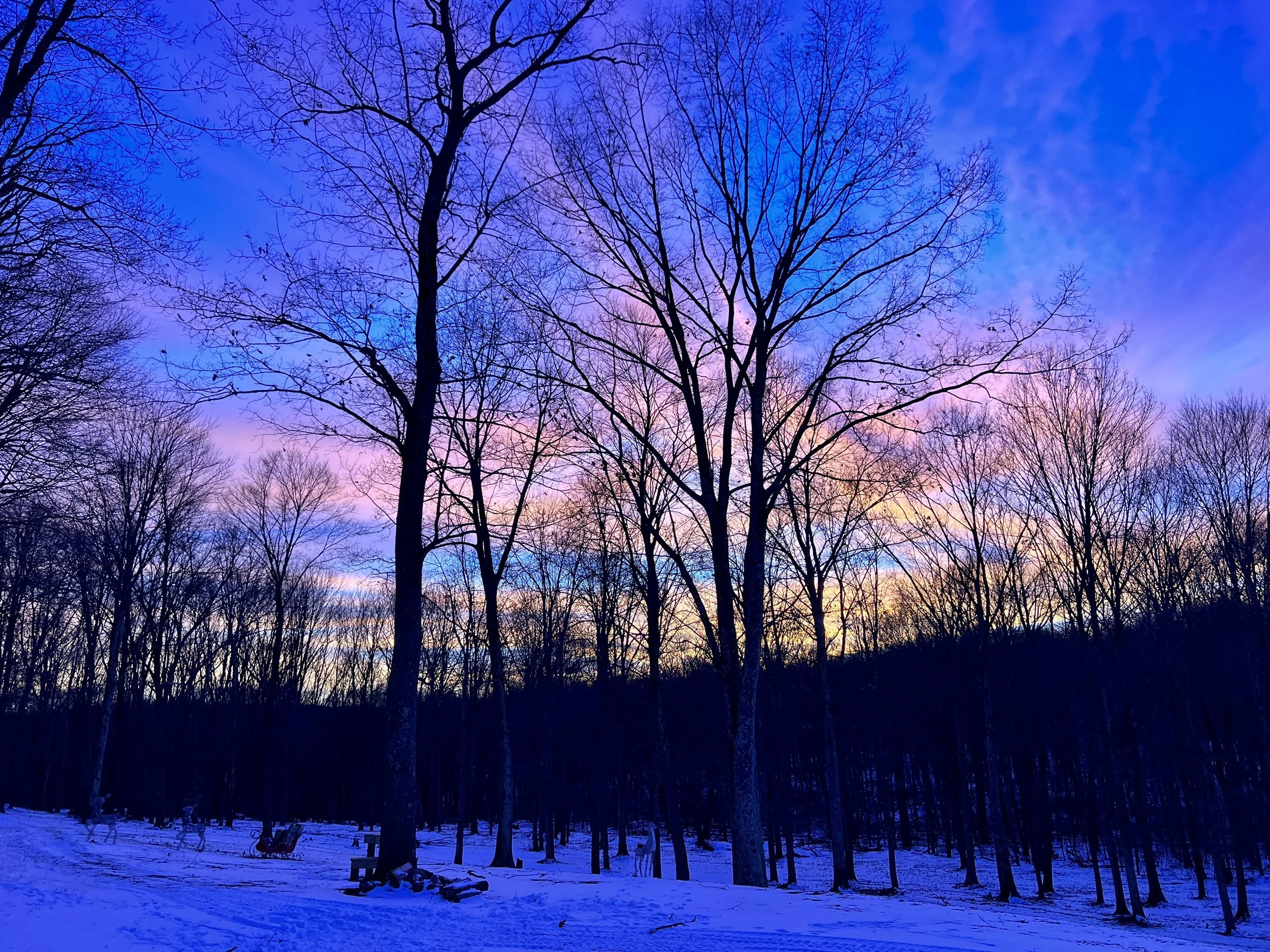 How To Go Outside When It's Frigidly Cold: 6 Tips to Keep You Active All Winter Long