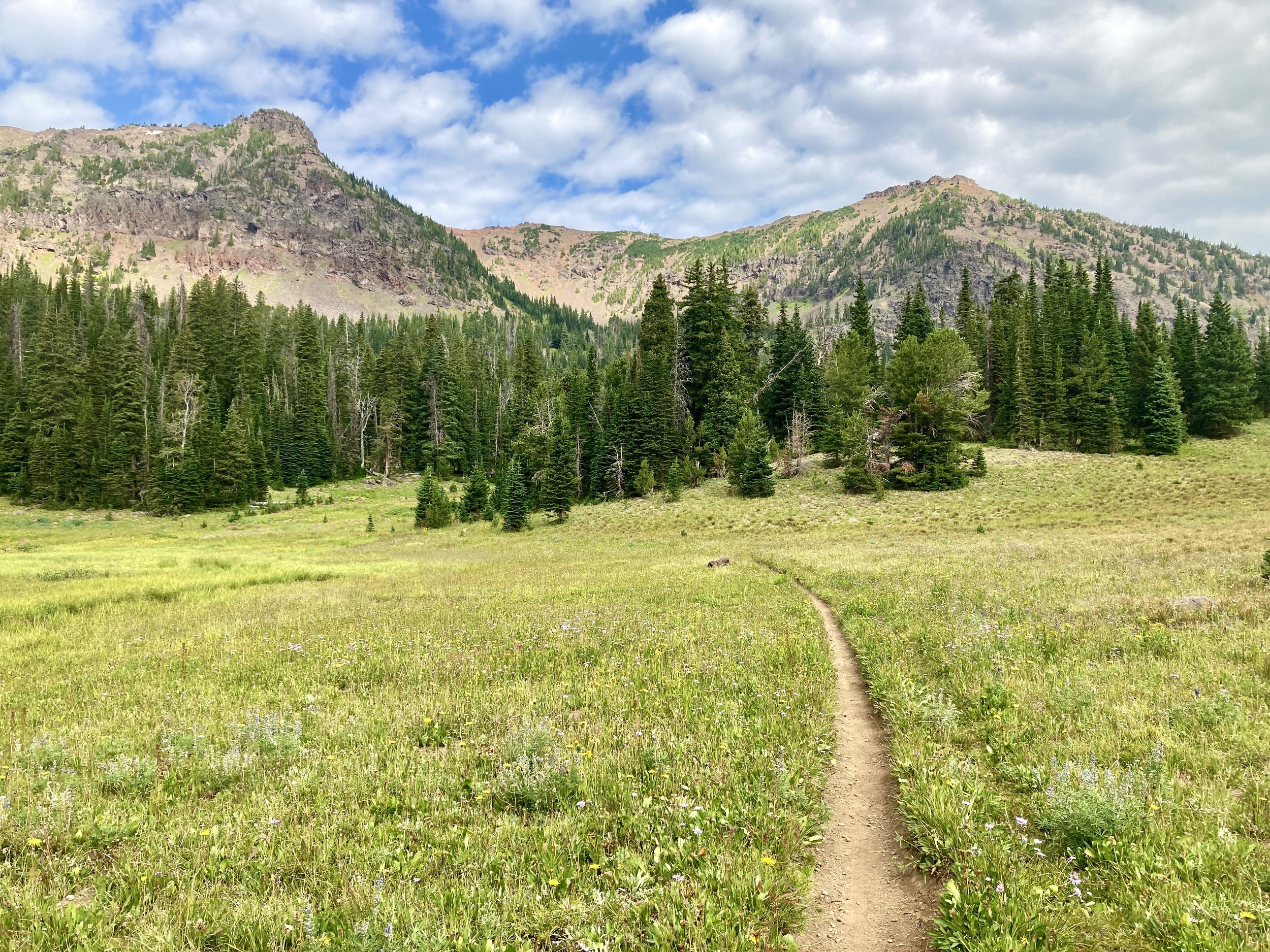 The Path to Freedom: 3 Proven Strategies to Escape from the Bondage of Employment