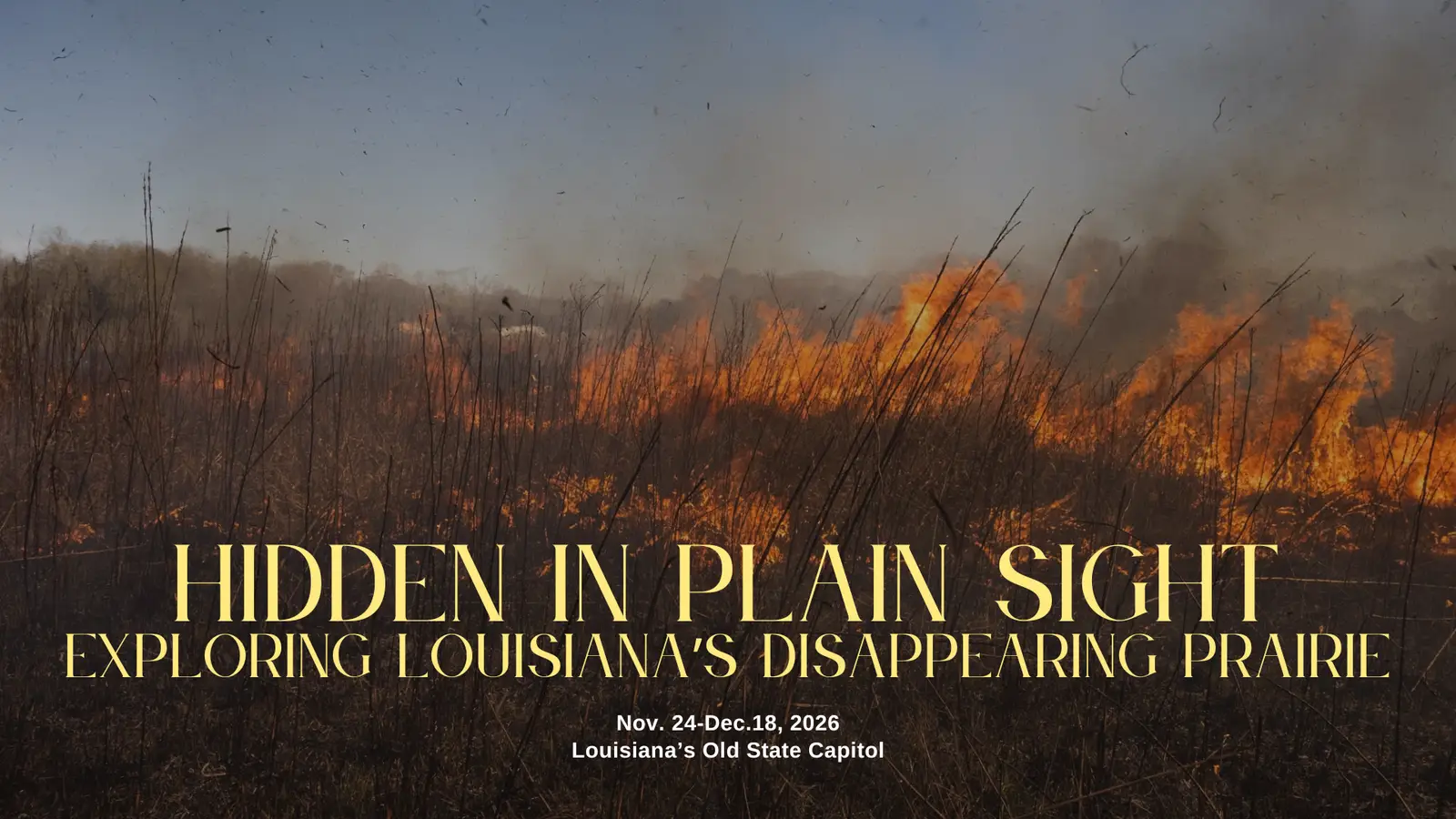 Hidden in Plain Sight: Exploring Louisiana's Disappearing Prairie. On exhibit Nov. 24 - Dec. 18, 2026 at Louisiana's Old State Capitol in downtown Baton Rouge.