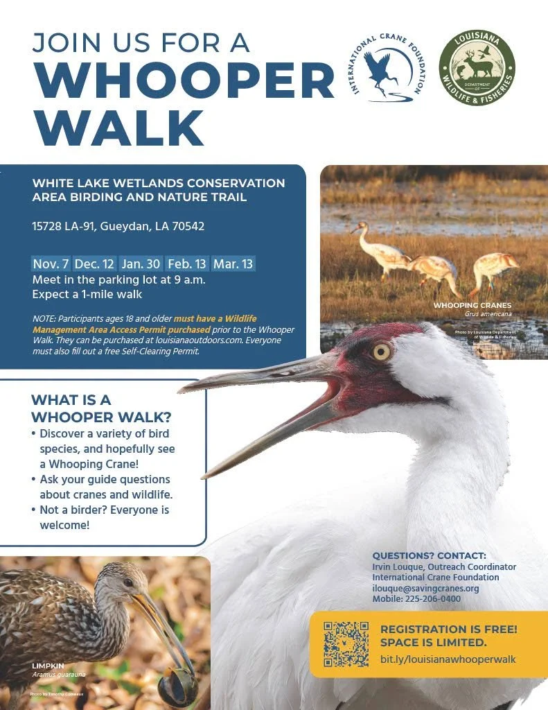 Whooping Crane Walk event flyer for White Lake Wetlands Conservation Area in Gueydan, Louisiana, featuring whooping crane and limpkin photos, event dates, registration details, and conservation organization logos.