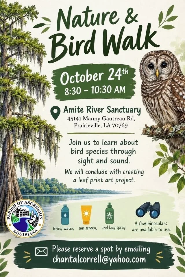 Flyer for a Nature & Bird Walk event on October 24th from 8:30 to 10:30 AM at Amite River Sanctuary, 45141 Manny Gautreau Rd, Prairieville, LA. Includes details about activities like learning about bird species through sight and sound, ending with a 