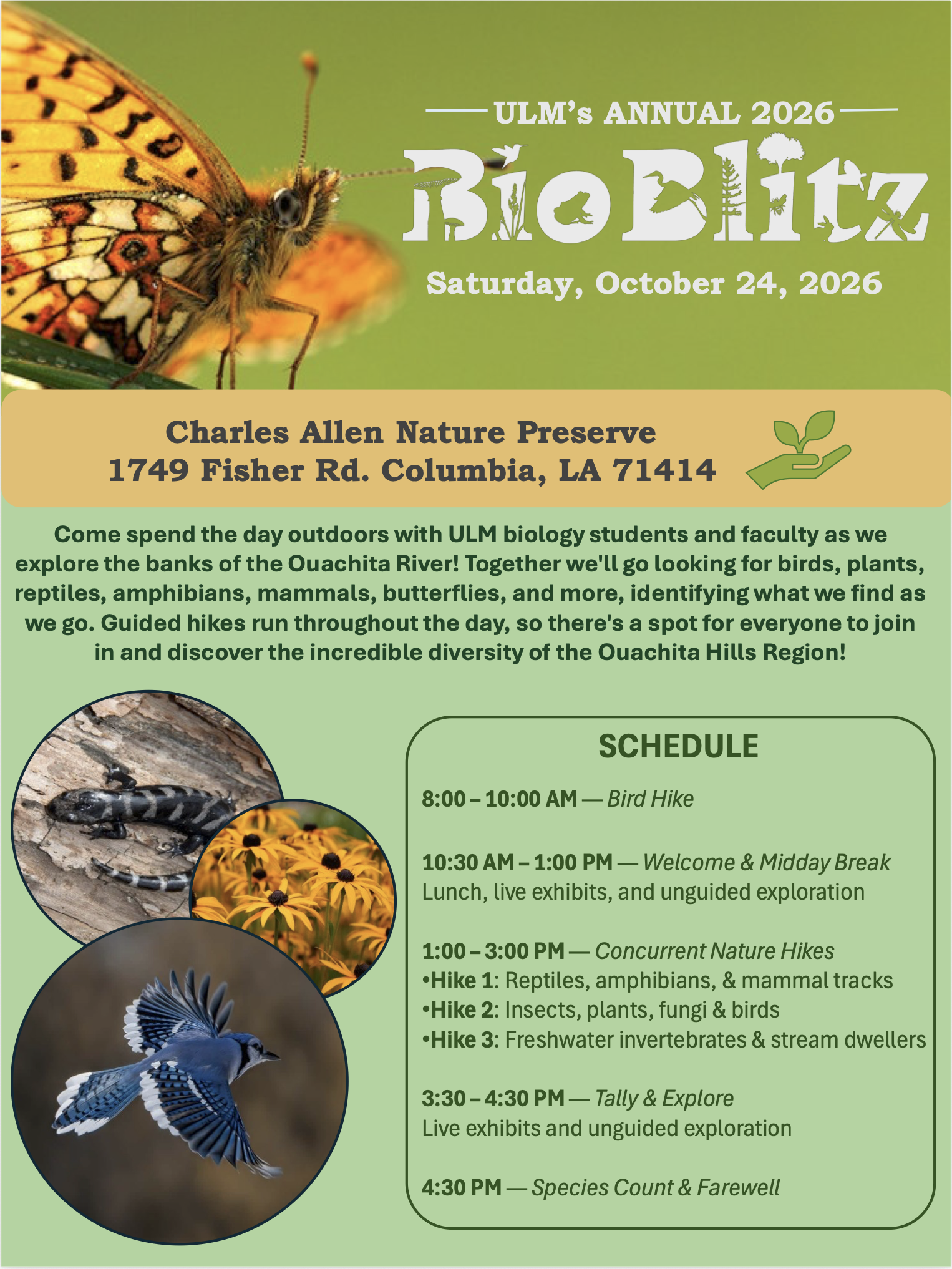 Flyers for ULM's Annual 2026 Biology event, featuring a butterfly, a salamander, and a bird, with event details about nature exploration and guided hikes at Charles Allen Nature Preserve in Columbia, LA.