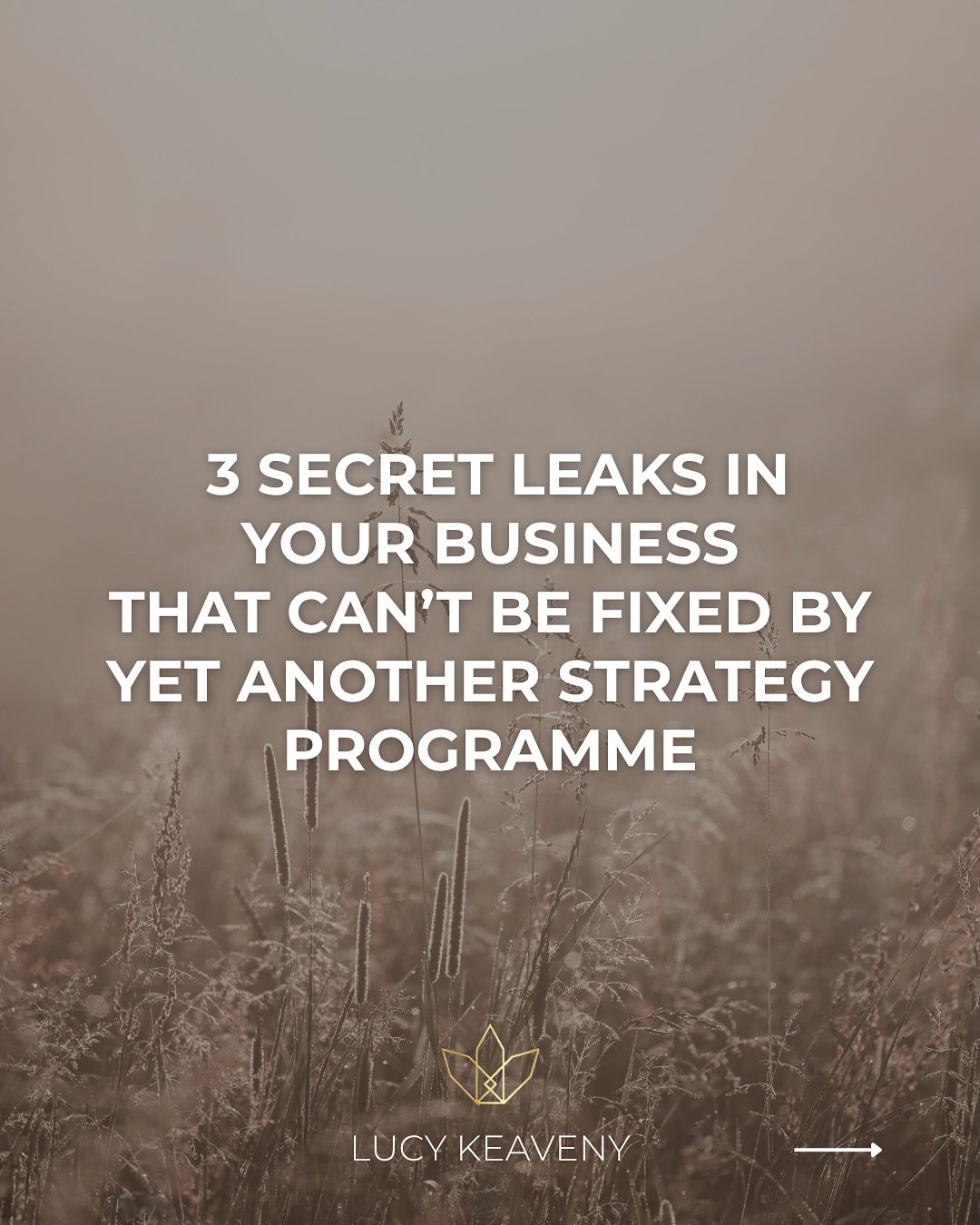 You&rsquo;ve done the work.
Taken the programs.
Mapped the funnels.

Written the launch plans.
So why does every move forward still feel&hellip;
Fragile?

Why do your best ideas live in your Notes app?&hellip;
but never make it to your audience?

Why