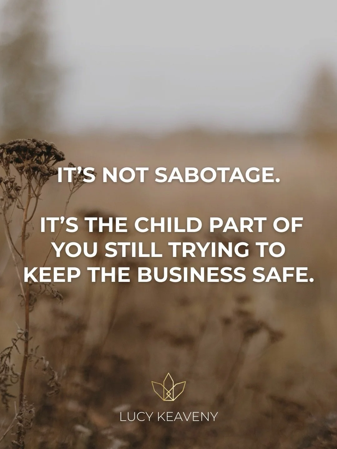 You&rsquo;re not broken, but something keeps breaking the flow.

You show up.
You plan.
You commit.

And still some part of you loops. Stalls. Ghosts, the launch. Changes the plan. Wants to burn it all down the second it gets real.

You&rsquo;ve trie