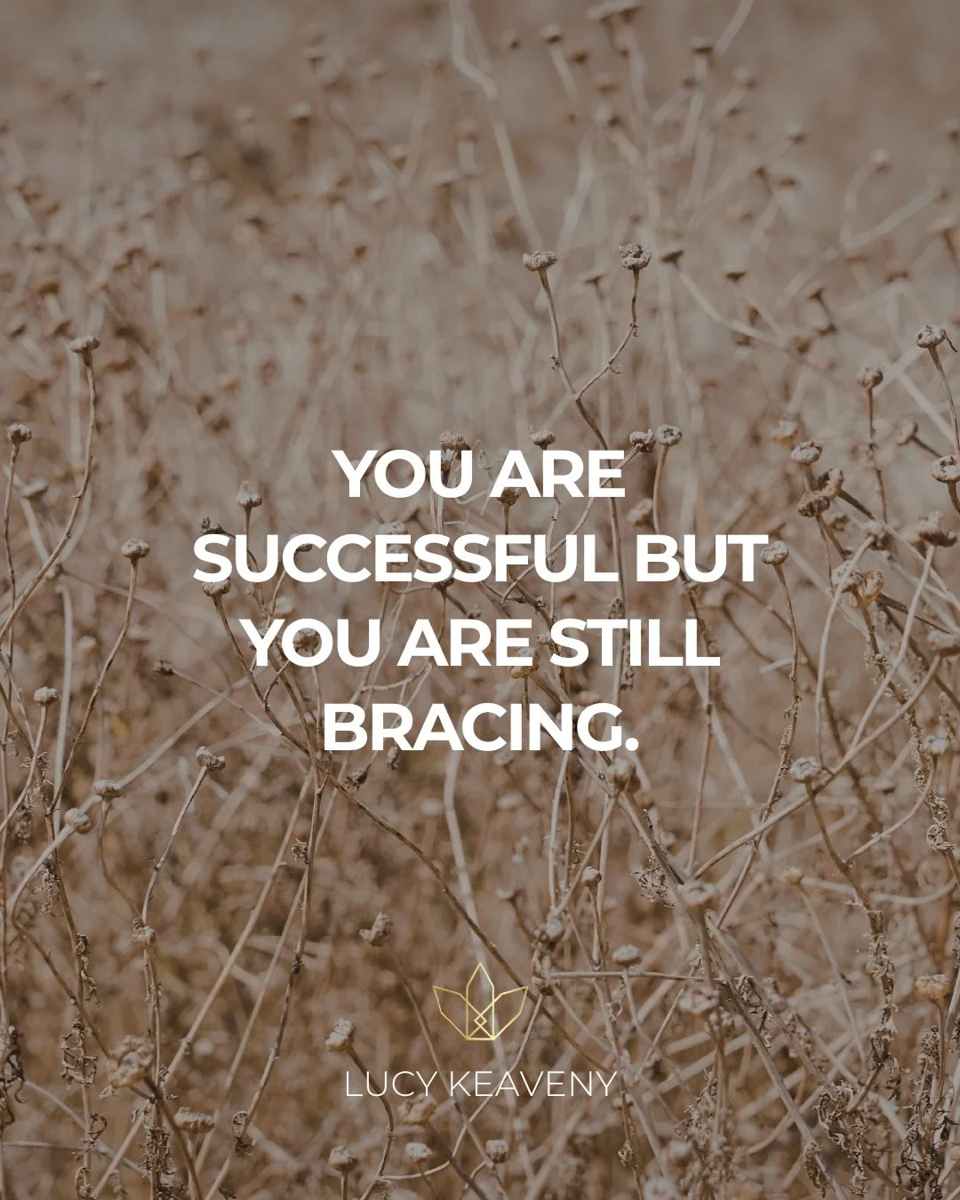 You can be deeply successful and still be bracing for impact.
That&rsquo;s the part no one talks about.

From the outside, you look confident. Experienced. Grounded. 

You&rsquo;ve built the business. 
Done the training. Held the rooms.

But inside y