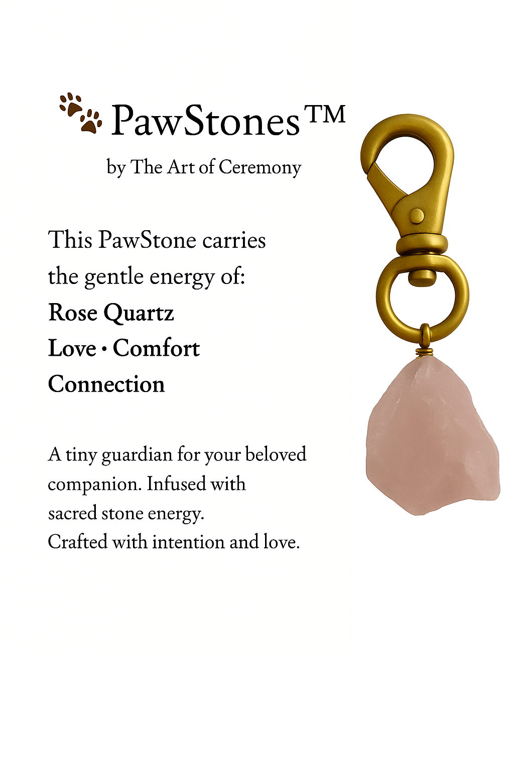 PawStone-R-Q-Tag-Photo.png