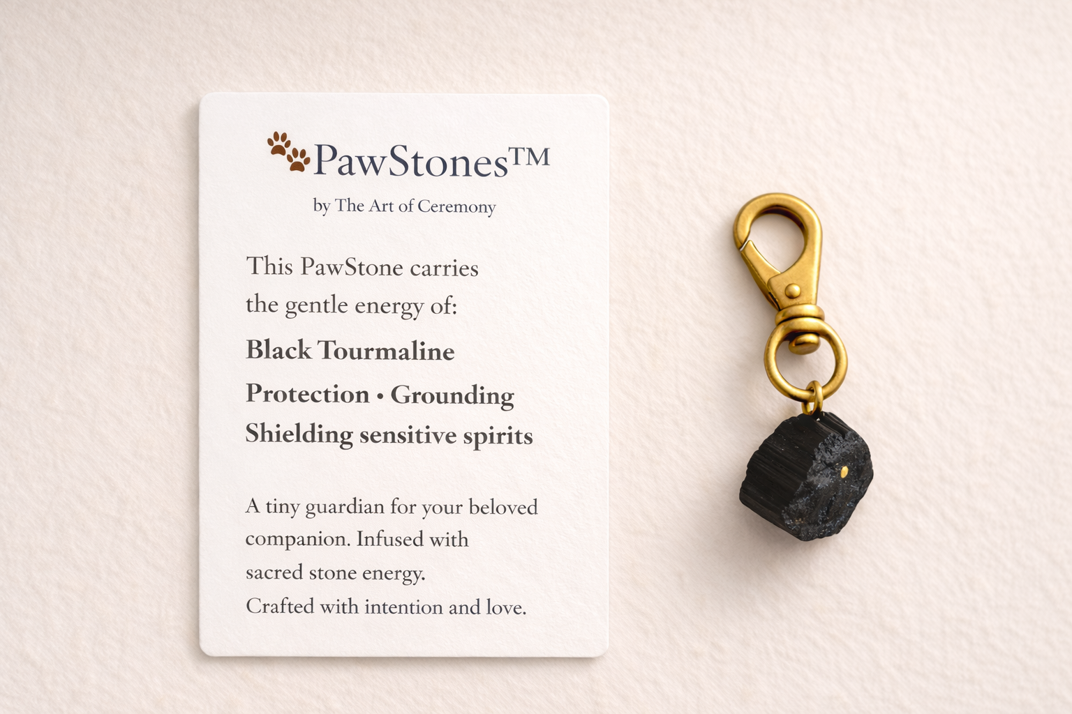 PawStone-Black-Tourmaline-Meaning-Card-Product-Shot.jpg.png (Copy)
