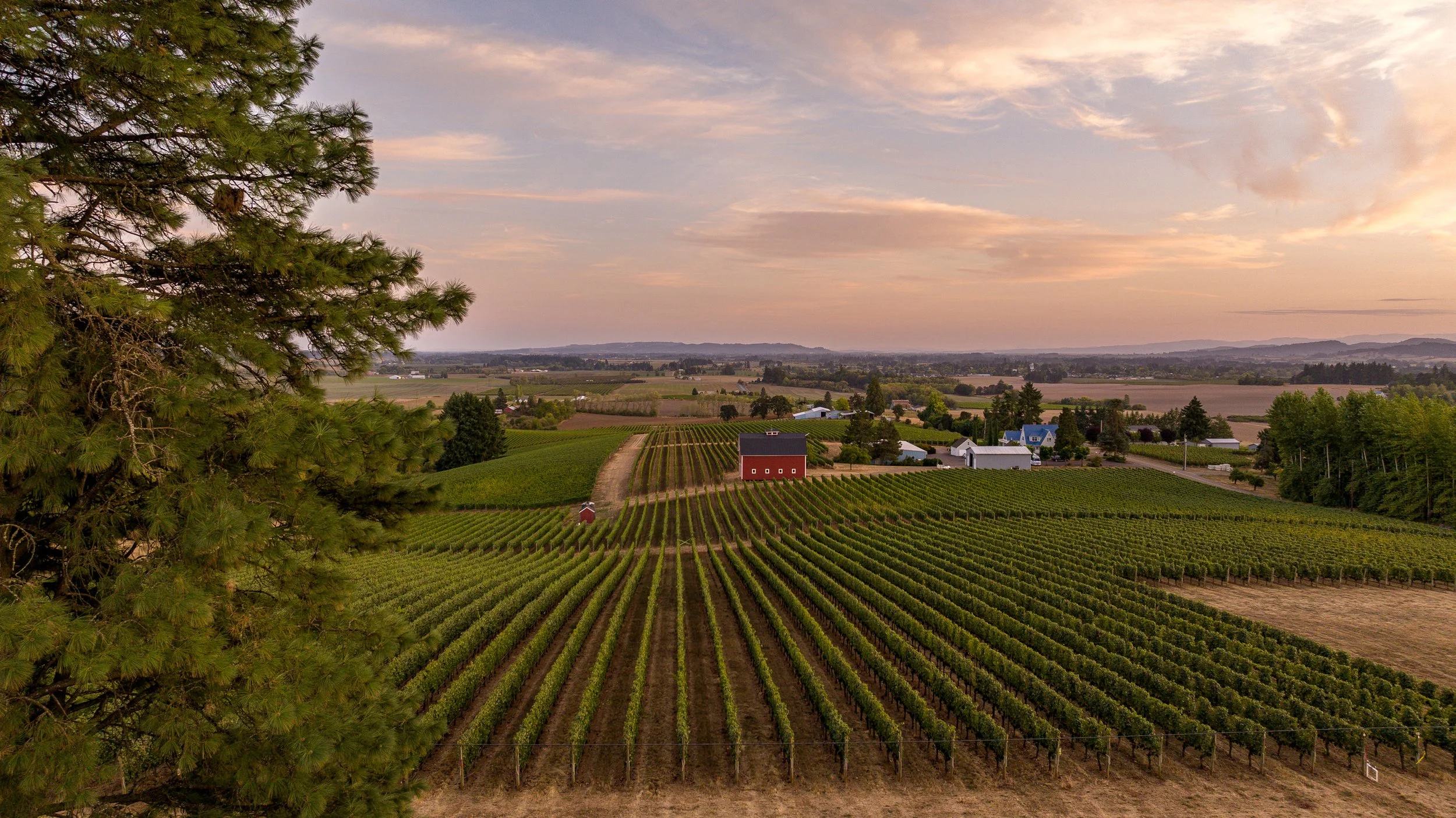 7601blackburn_twilight-12.jpg