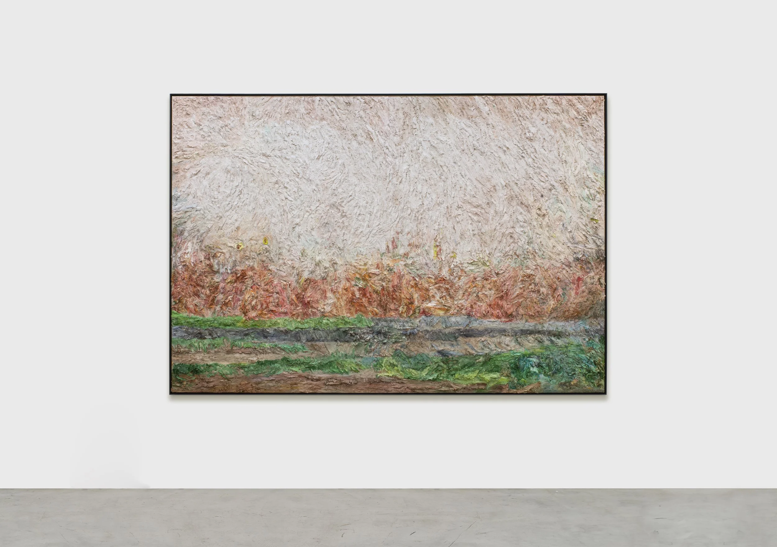 Bruno Weilemann, Sem Título, série Cerrado Ralo, 2025