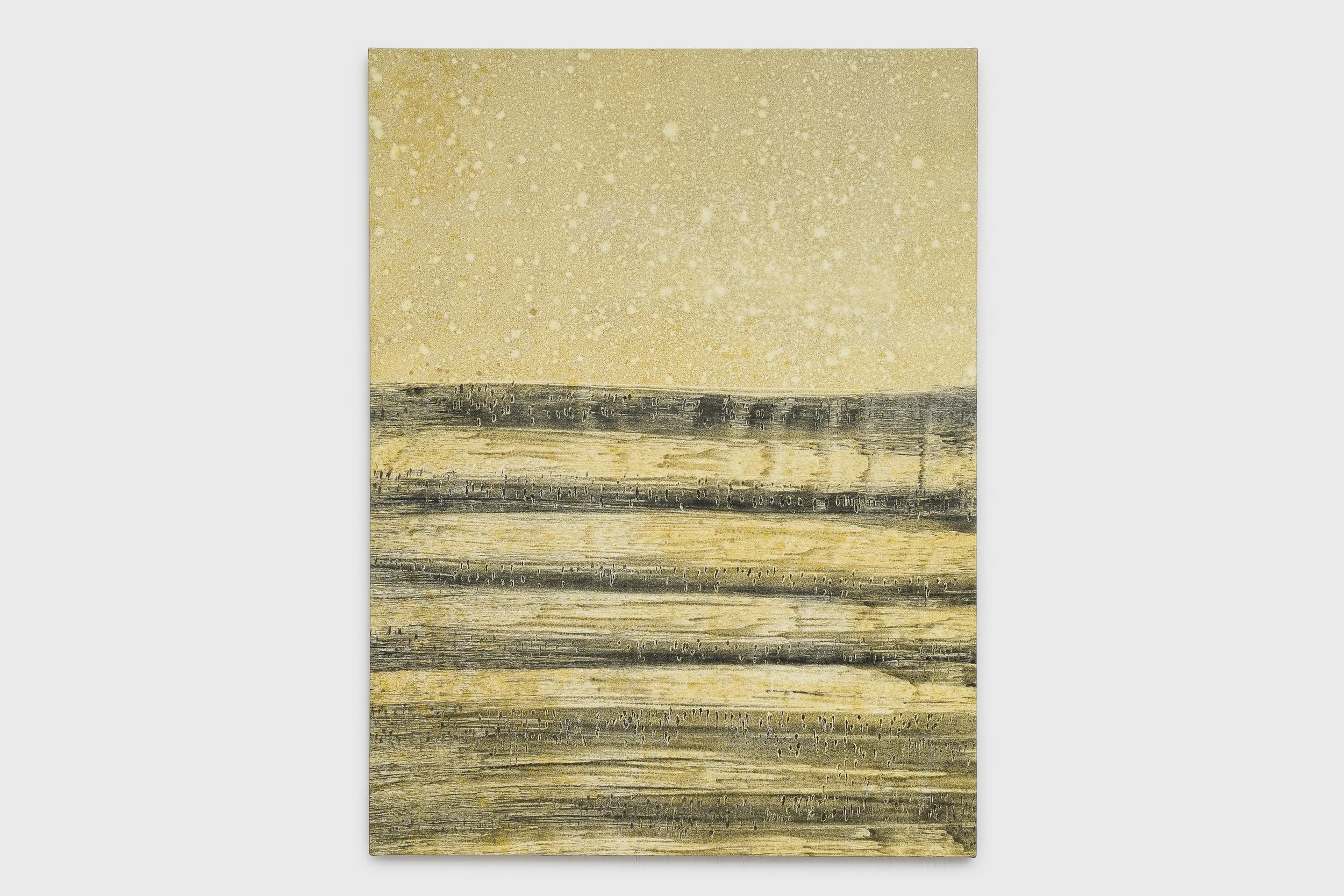 Marina Schroeder, Camadas reescritas, 2025. Foto: Flávio Freire