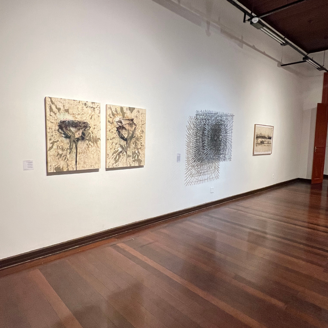 Vista exposição "O tempo das coisas vivas" no Centro Cultural Correios, Rio de Janeiro, 2025.