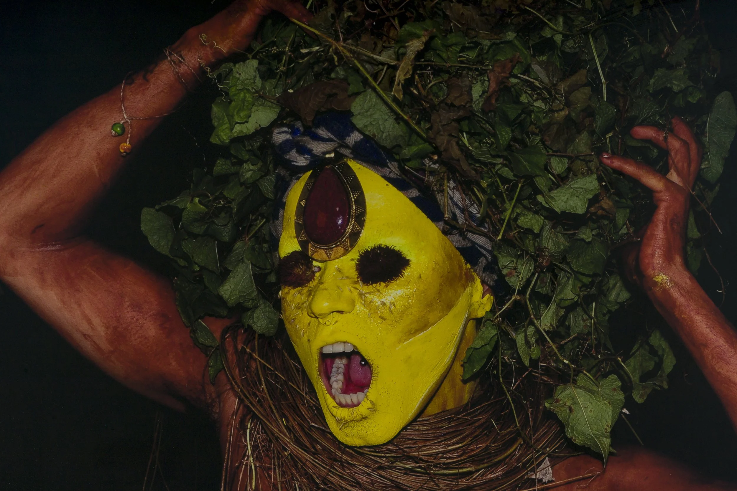 Uýra, Apossemática, série elementar (detalhe), 2018. Foto: Selma Maia, Reprodução: Flavio Freire / Aura