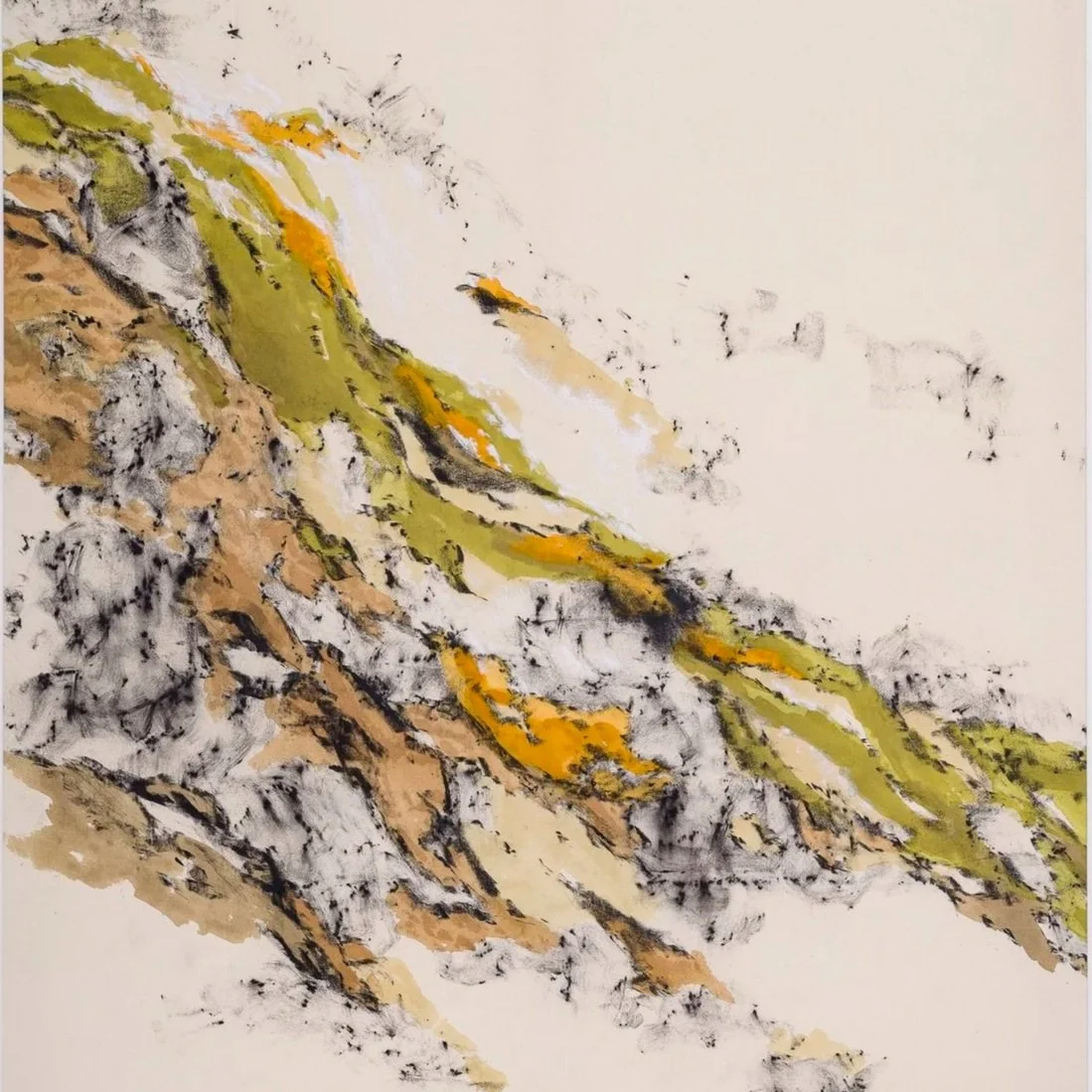 marina schroeder - não se toca sem algum risco o íntimo das coisas