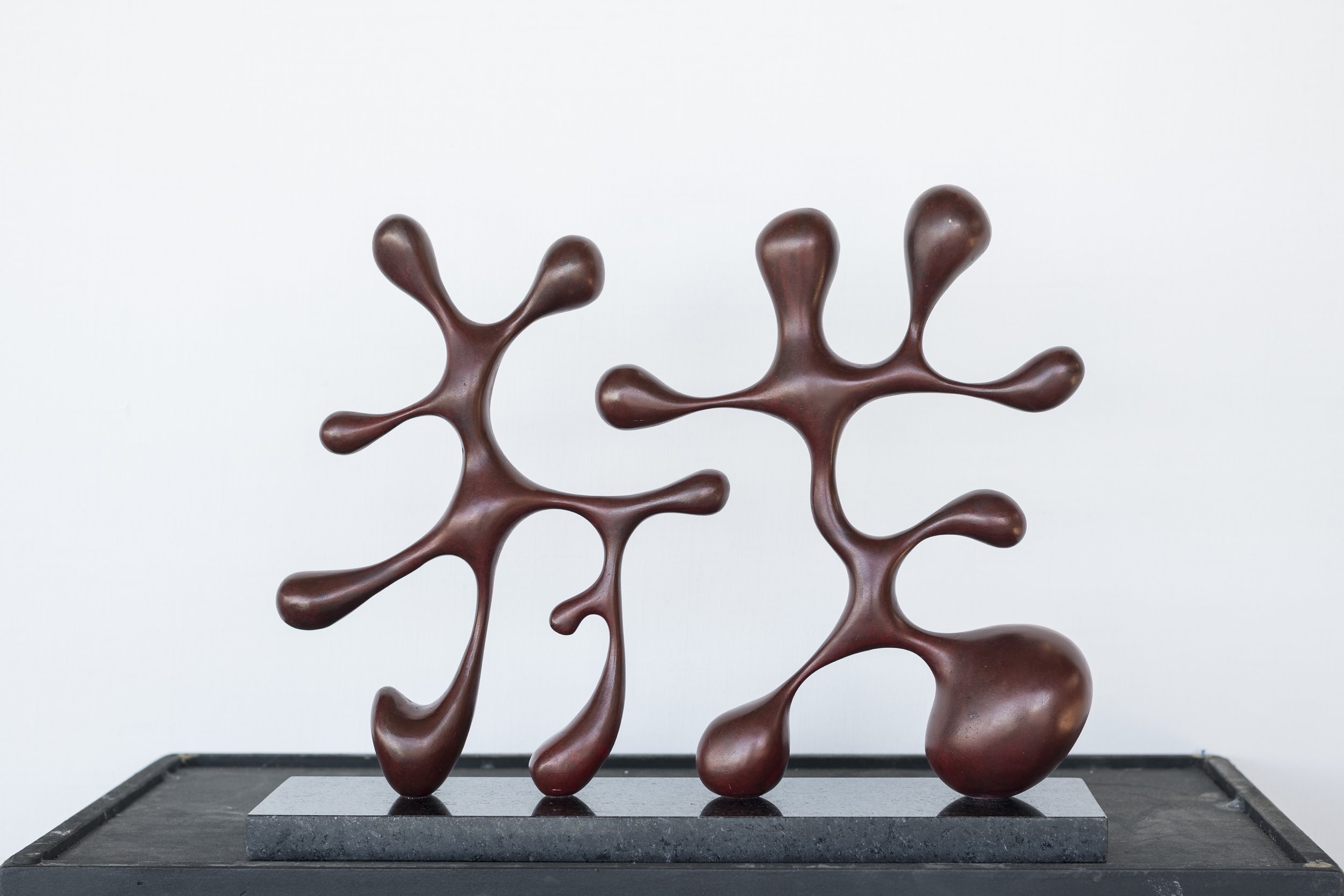 Roberto Vivo, Loro ballano, 2024