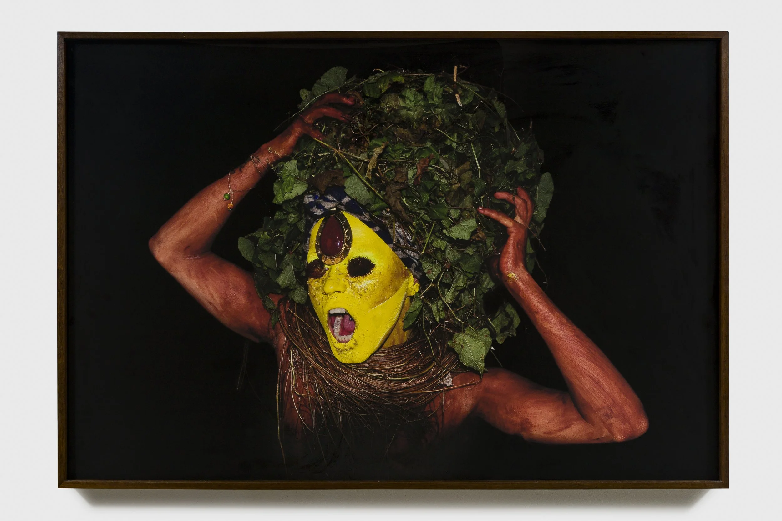 Uýra, Apossemática, série elementar, 2018. Foto: Selma Maia, Reprodução: Flavio Freire / Aura