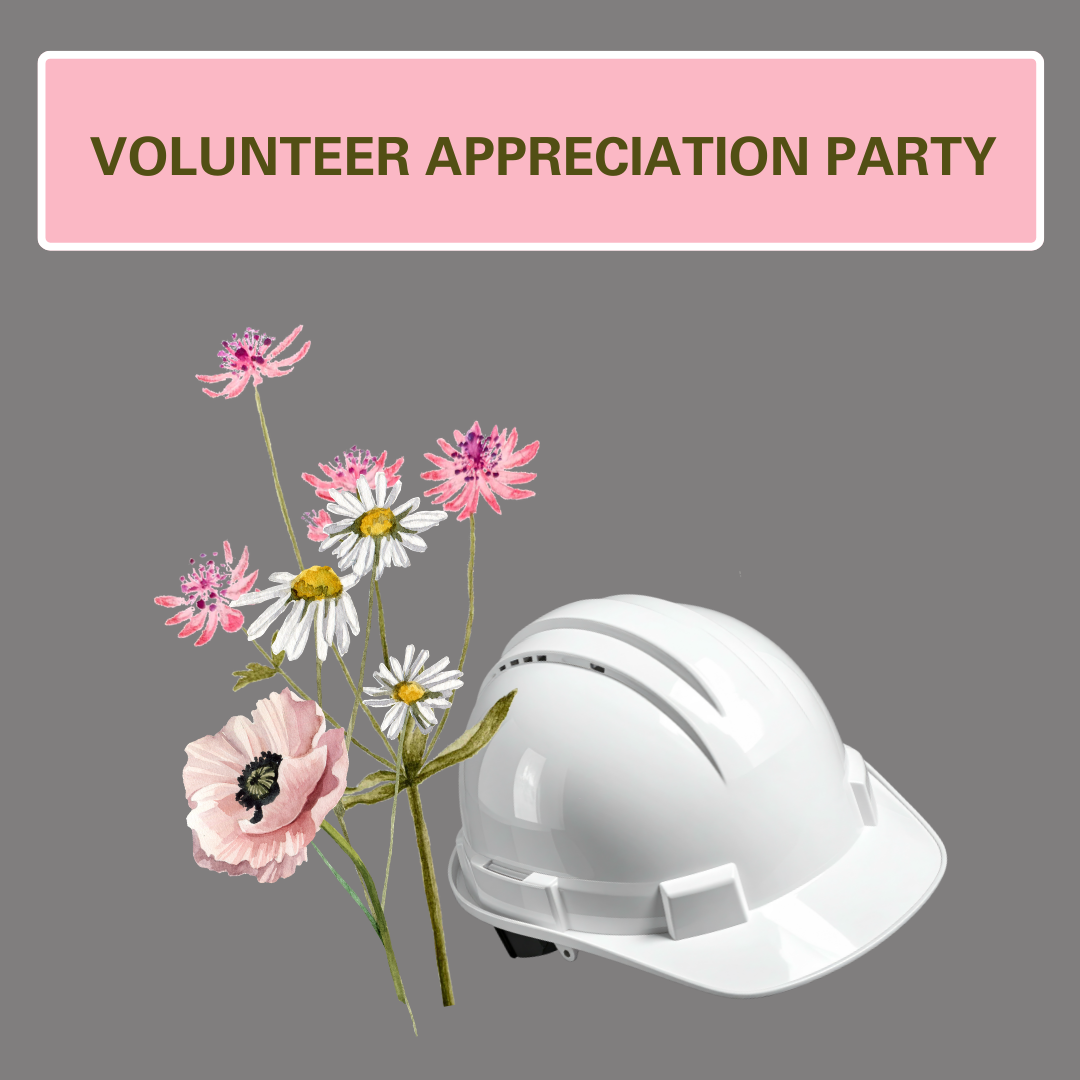 Volunteer Appreciation Party