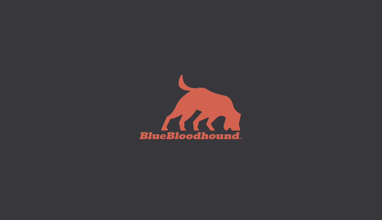 Blue Bloodhound