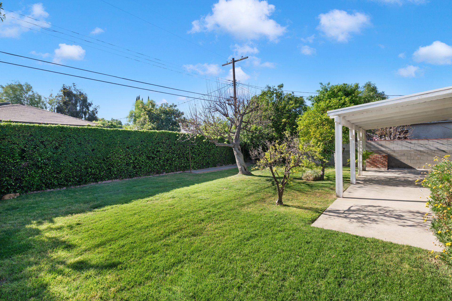 6617 Gerard Ave MLS-32.jpg
