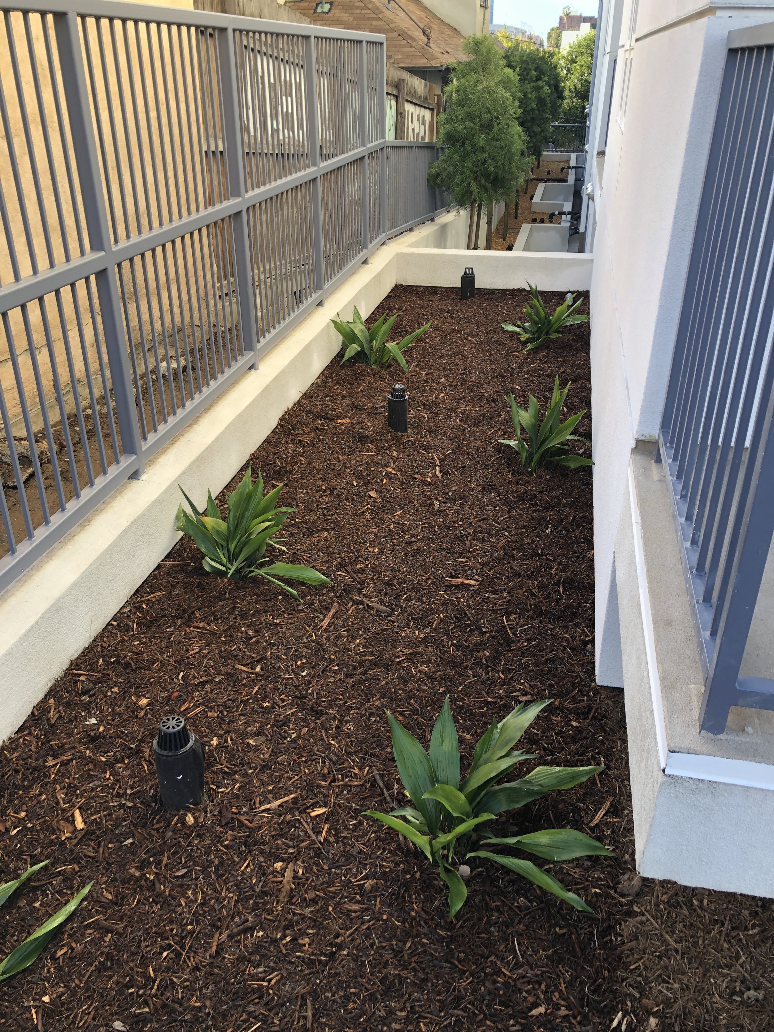 Colton Apartments — Dake Landscape Architects