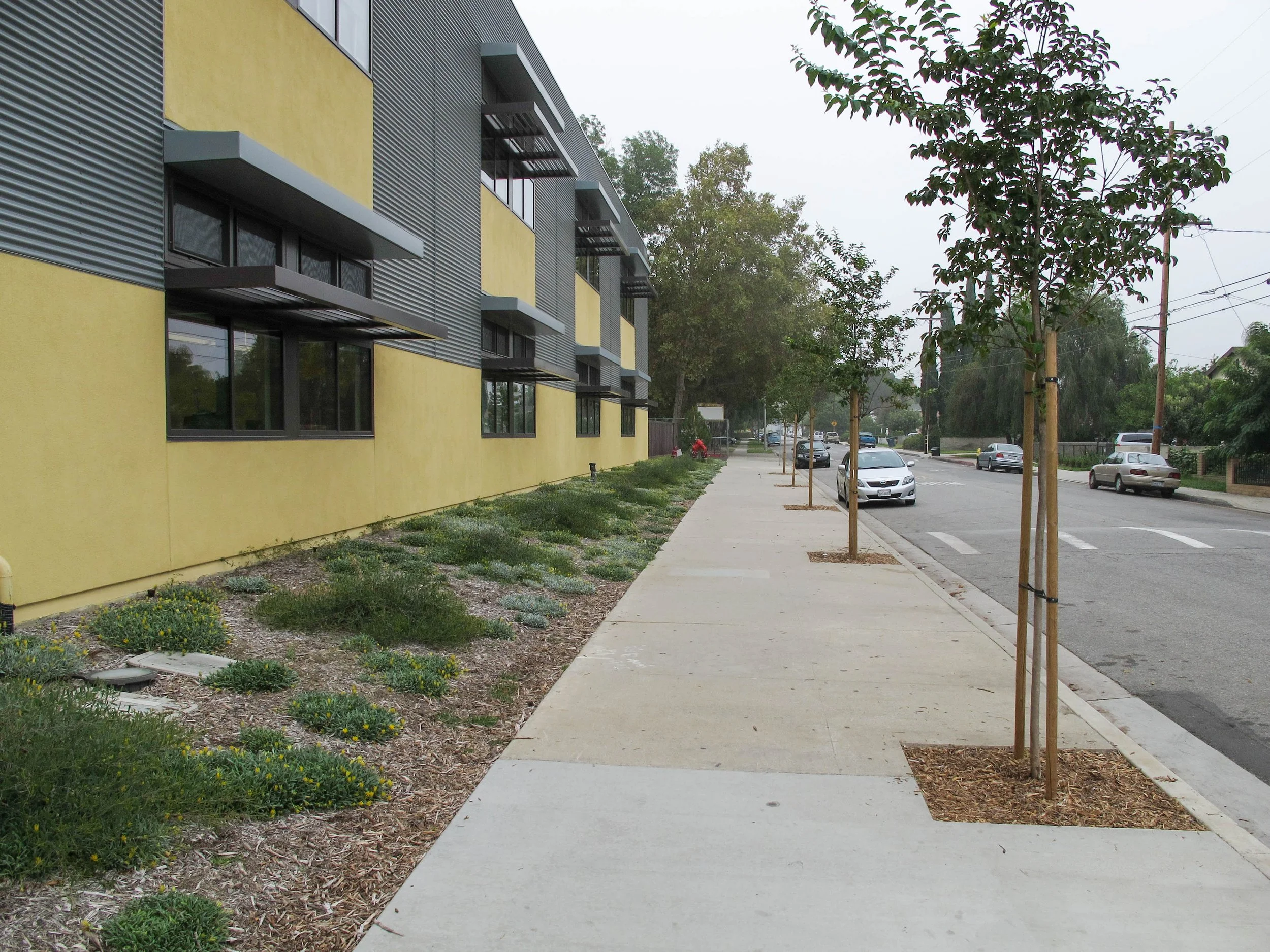 Frank M. Wright Elementary - Landscape
