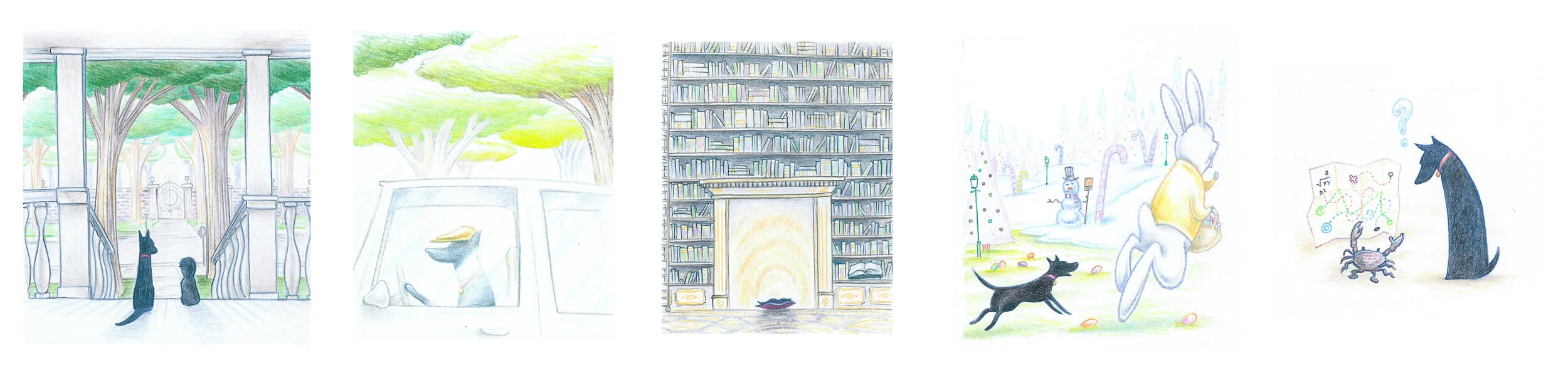Colored pencil drawings for the book.