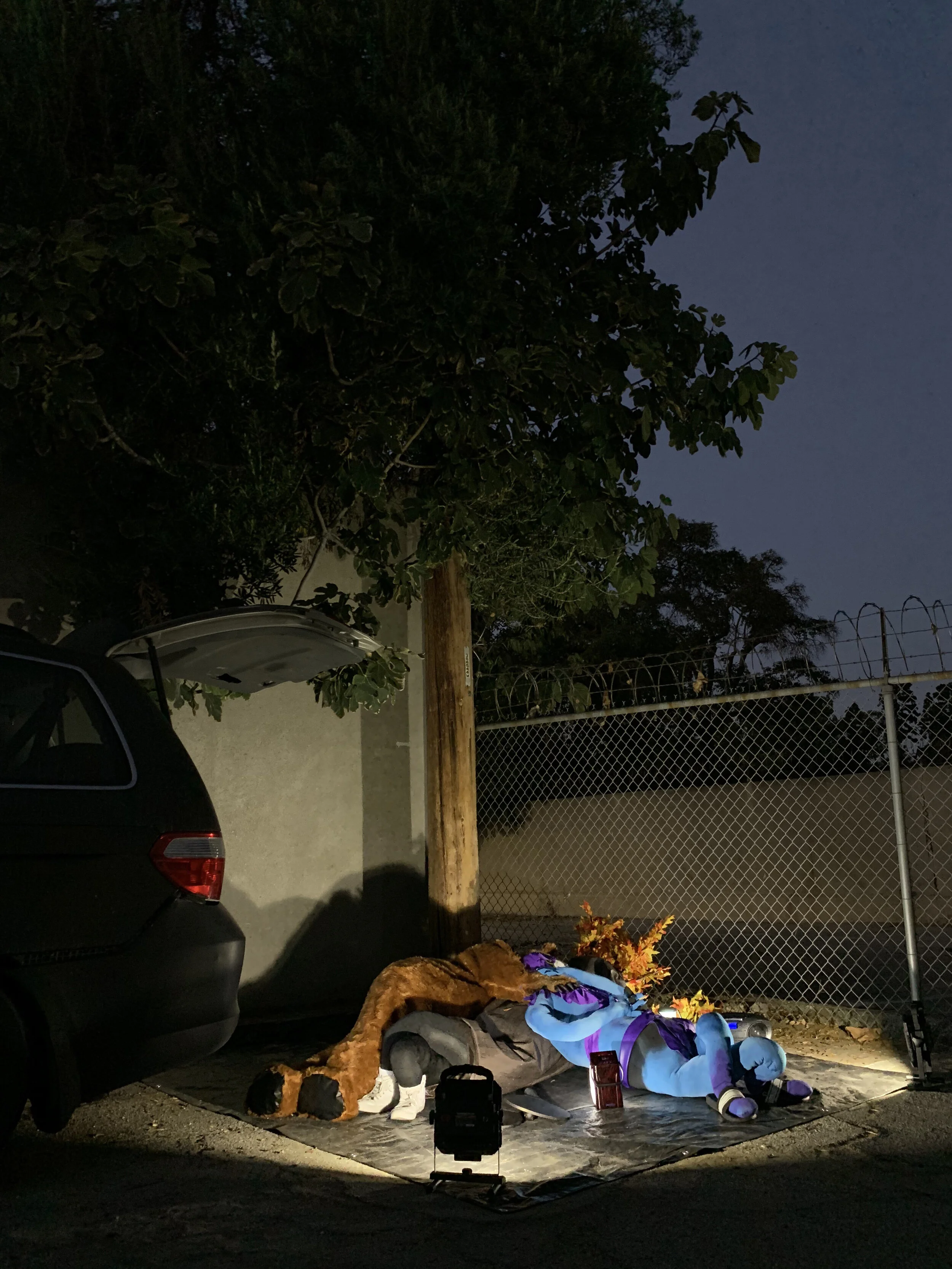 A Bear Shits In the Woods: Tailgetters (2020) 
Installation with audio, part of 'Trunk Show' curated by Jackie Rines for Tiger Strikes Asteroid LA