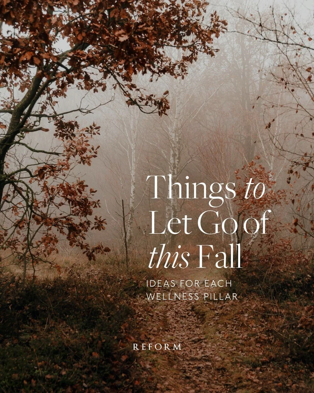 If the colorful trees of autumn teach us anything, it is that there is beauty in letting go of things we no longer need or that no longer nourish us. ⁠
⁠
That is why it is providential that St. Francis of Assisi&rsquo;s feast day is celebrated at thi